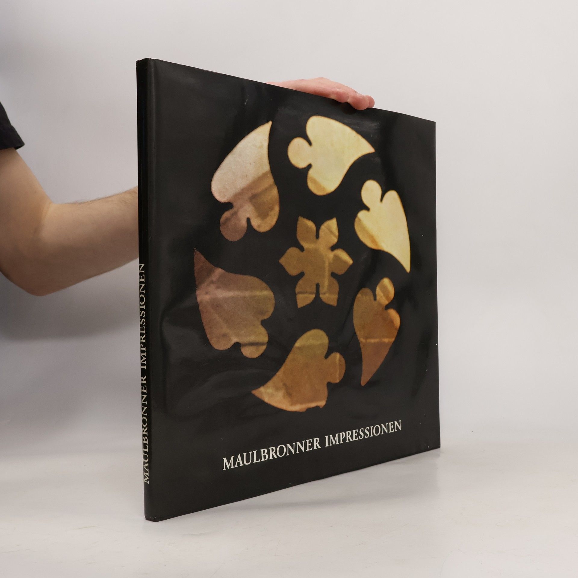 Willy Asperger Maulbronner Impressionen