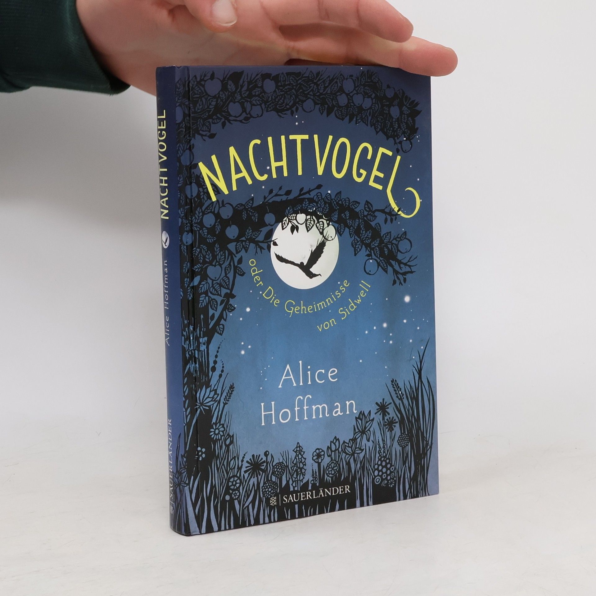 Alice Hoffman Nachtvogel oder Die Geheimnisse von Sidwell