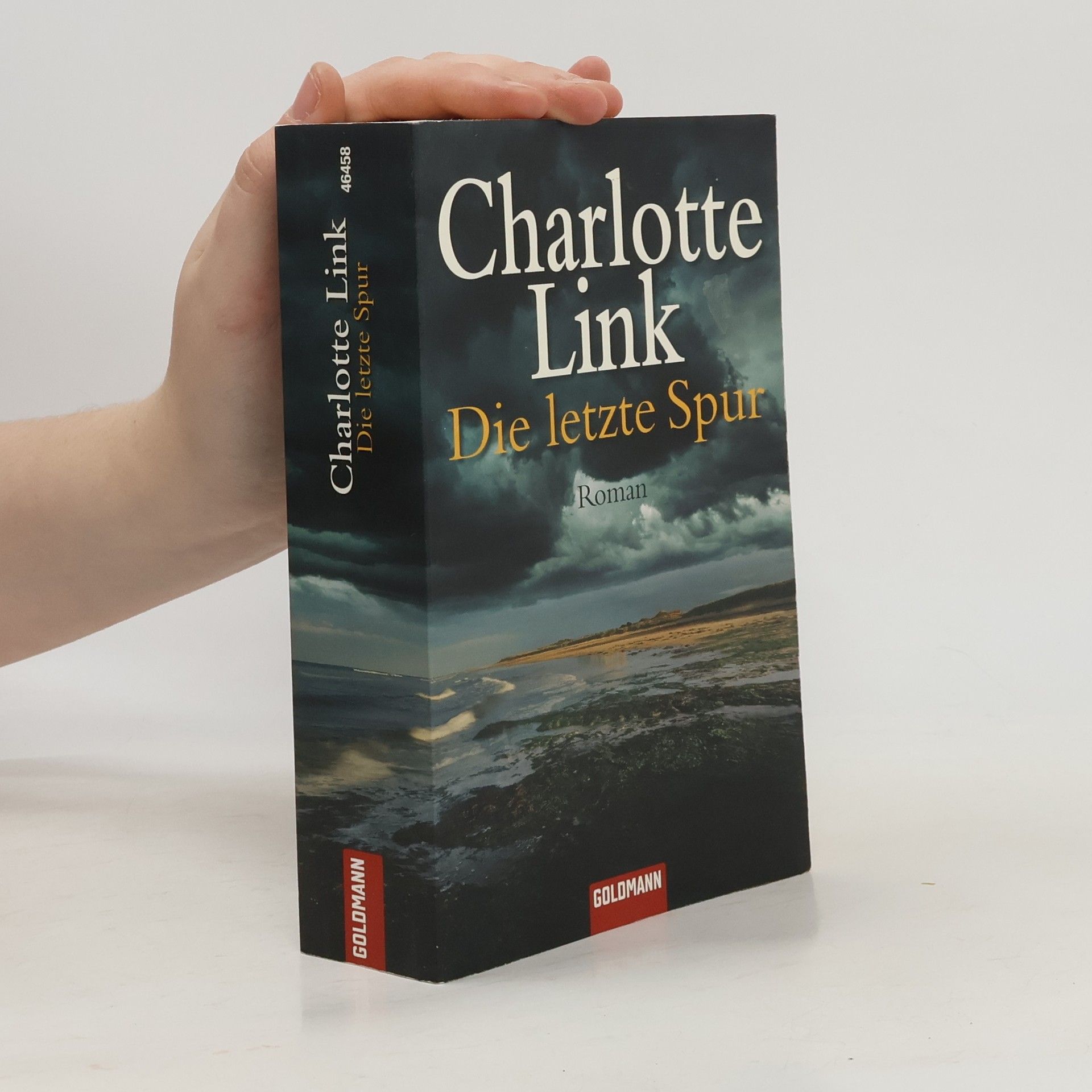 Charlotte Link Die letzte Spur