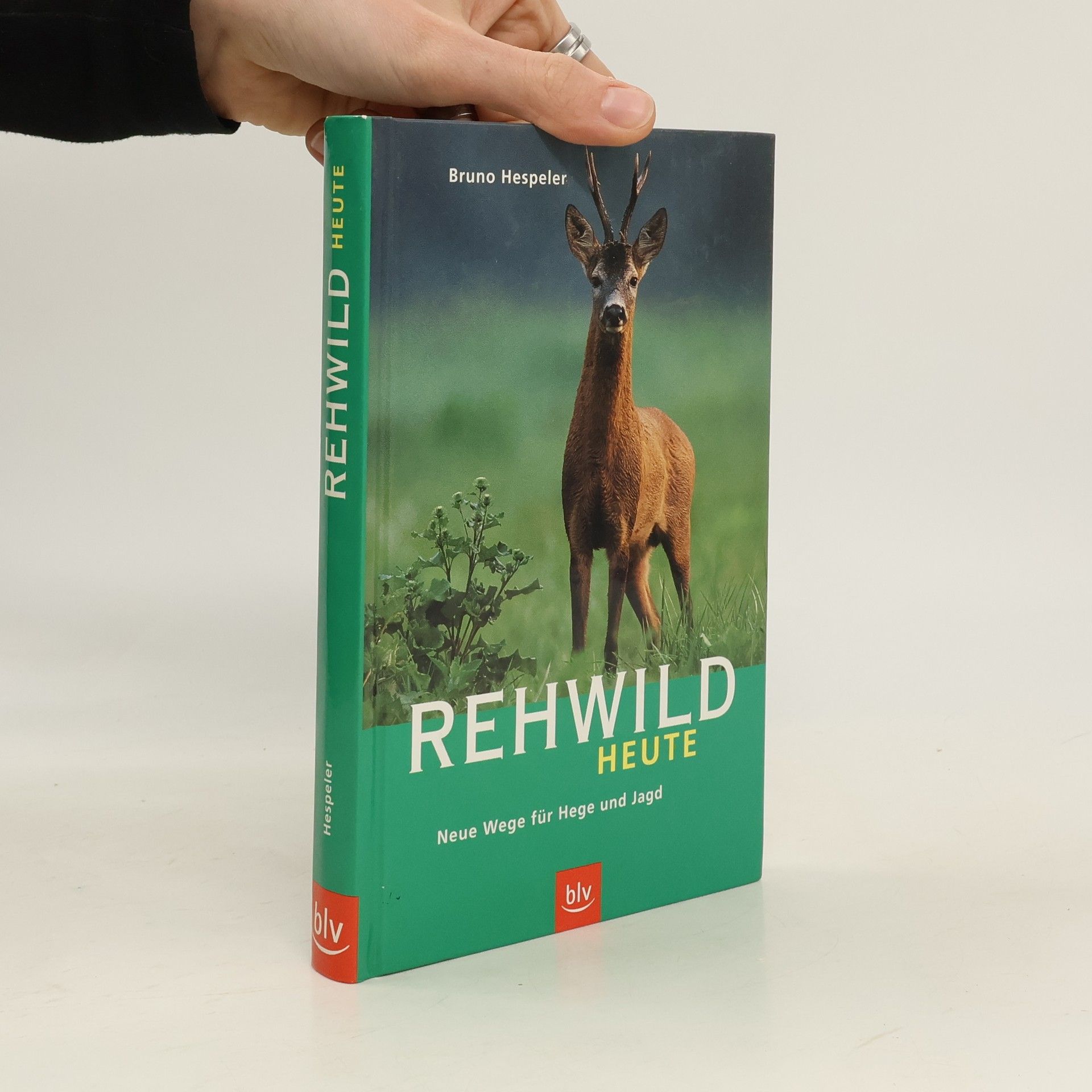 Bruno Hespeler Rehwild heute