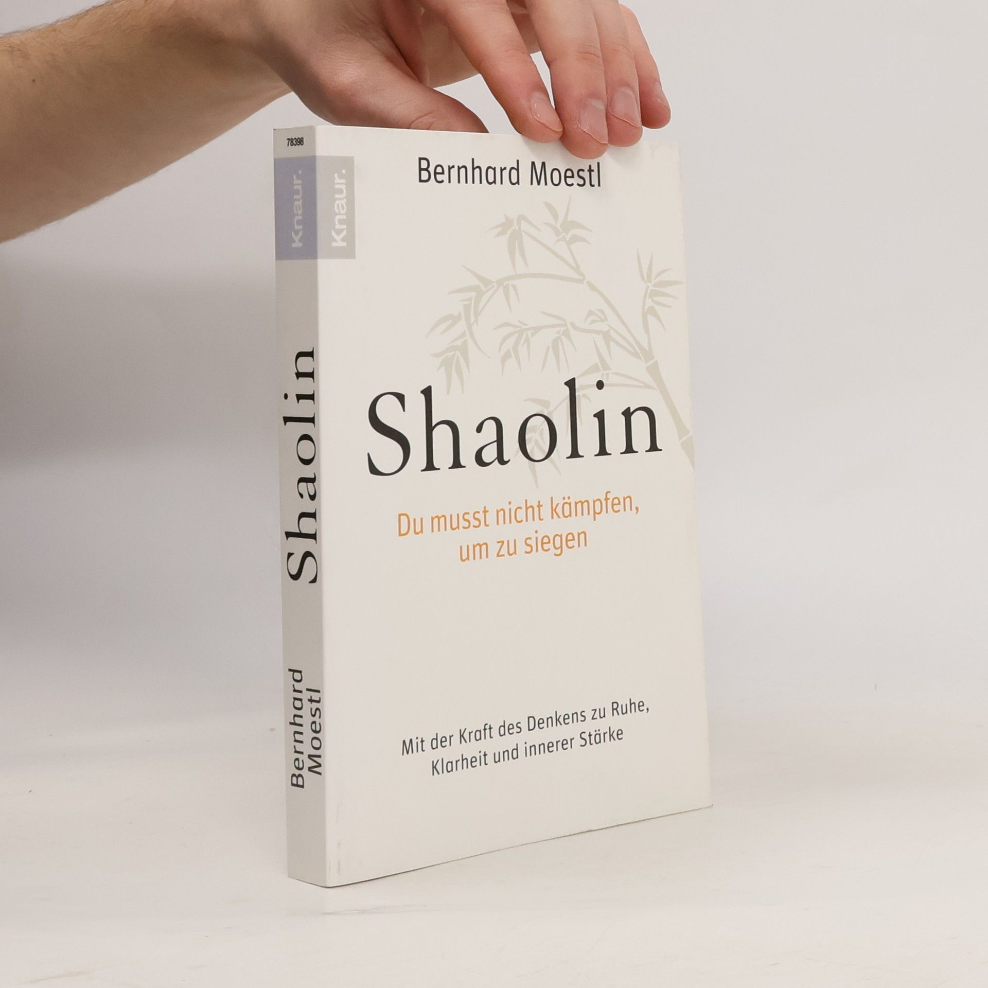 Bernhard Moestl Shaolin