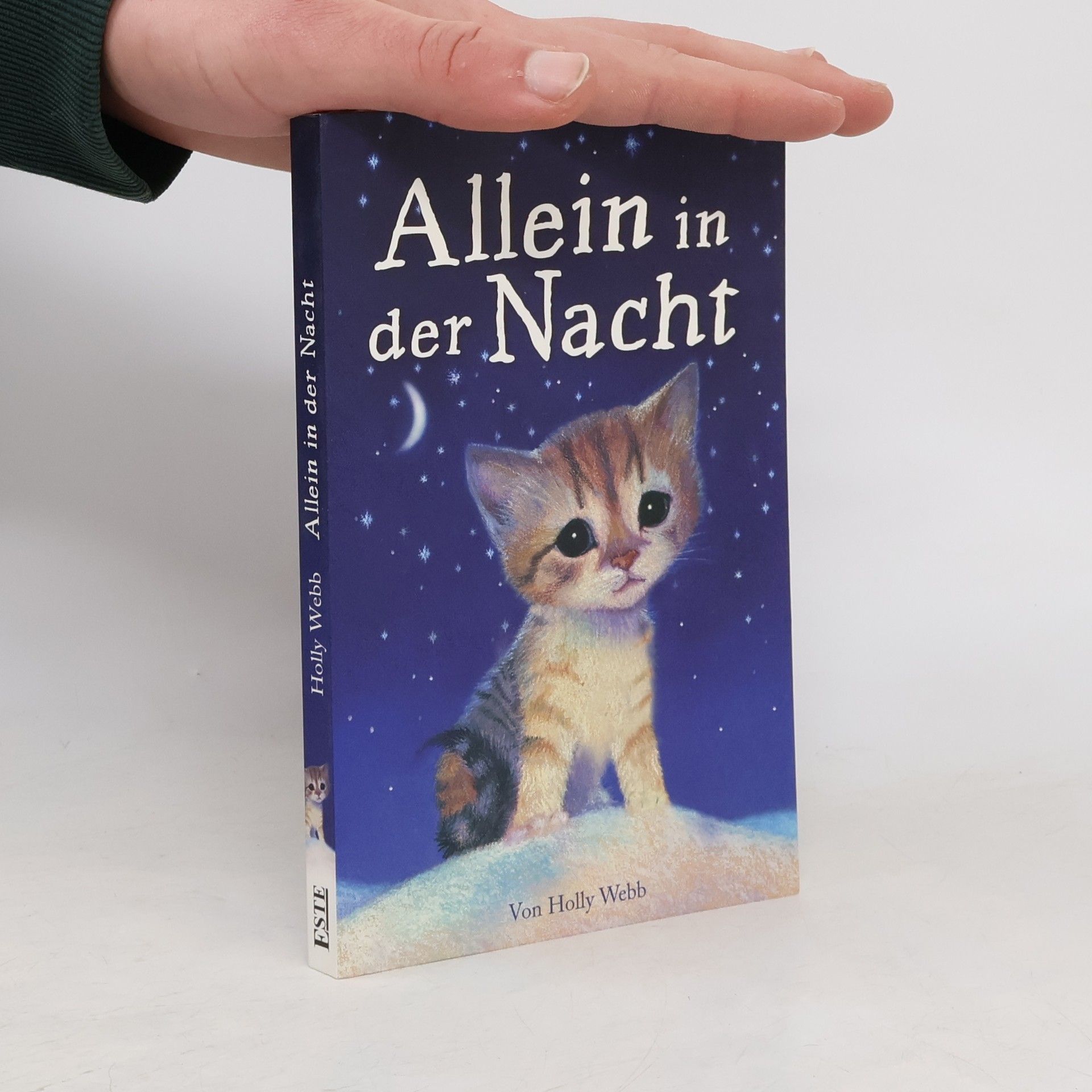 Autorenkollektiv Alleine in der Nacht