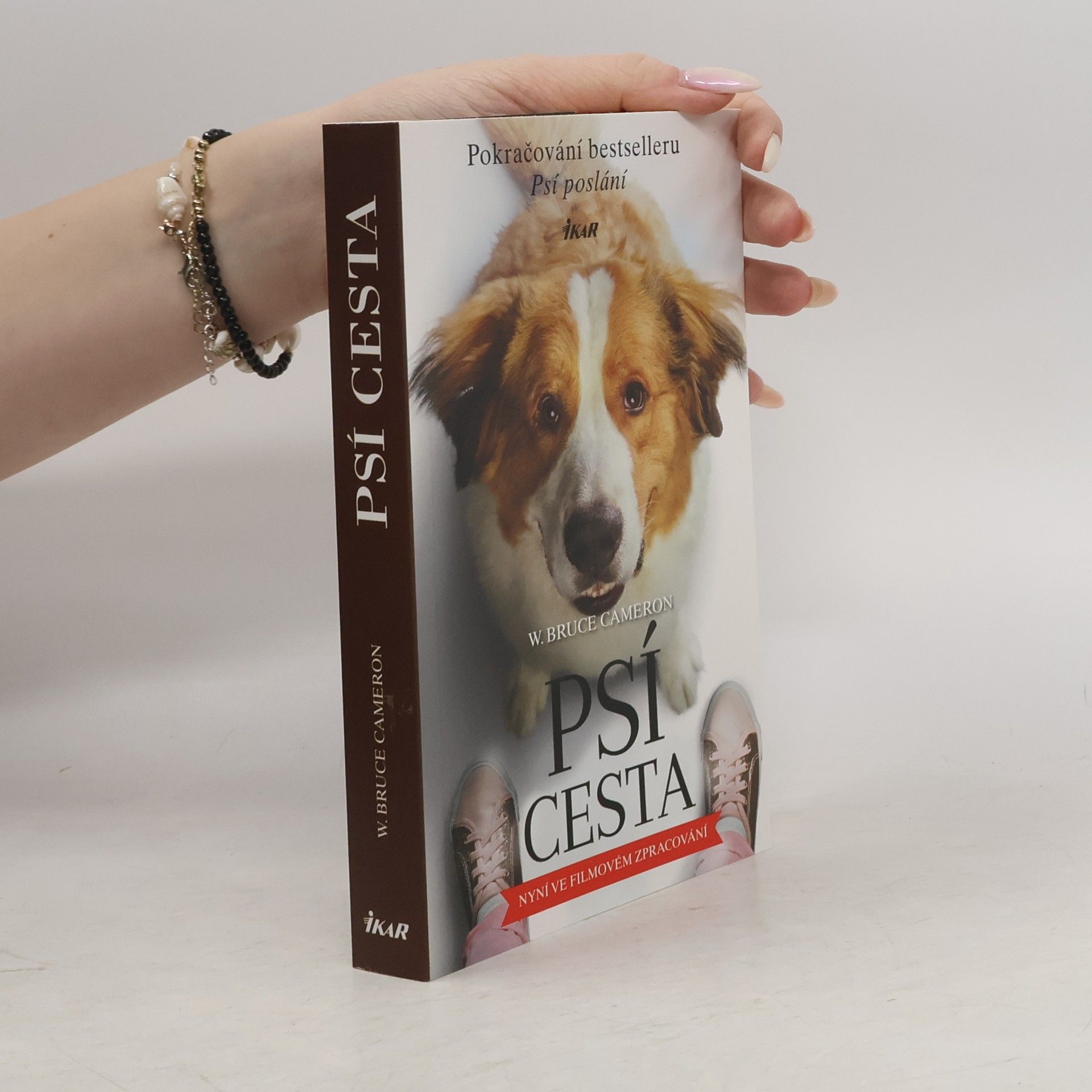 W. Bruce Cameron Psí cesta. Román pro všechny psy a jejich páníčky. Psí poslání 2