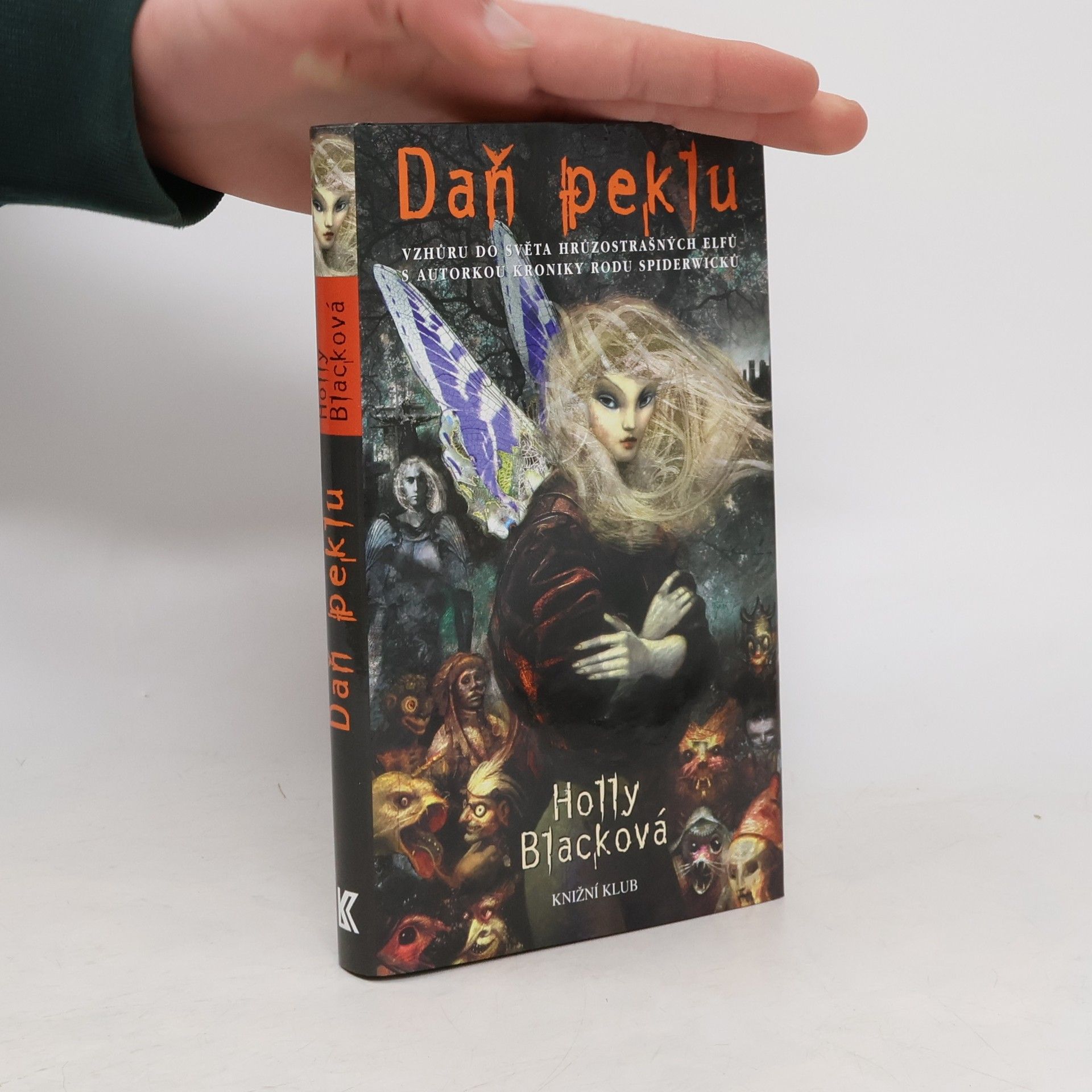 Holly Black Daň peklu