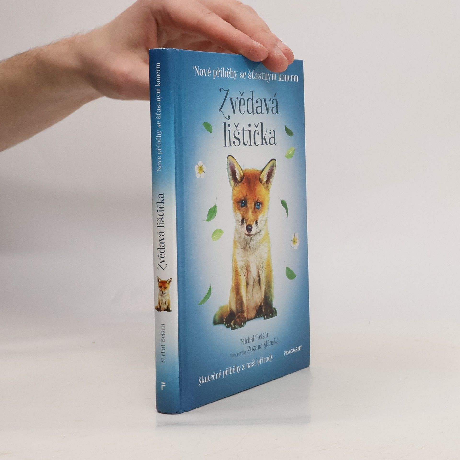 Michal Belšán Zvědavá lištička