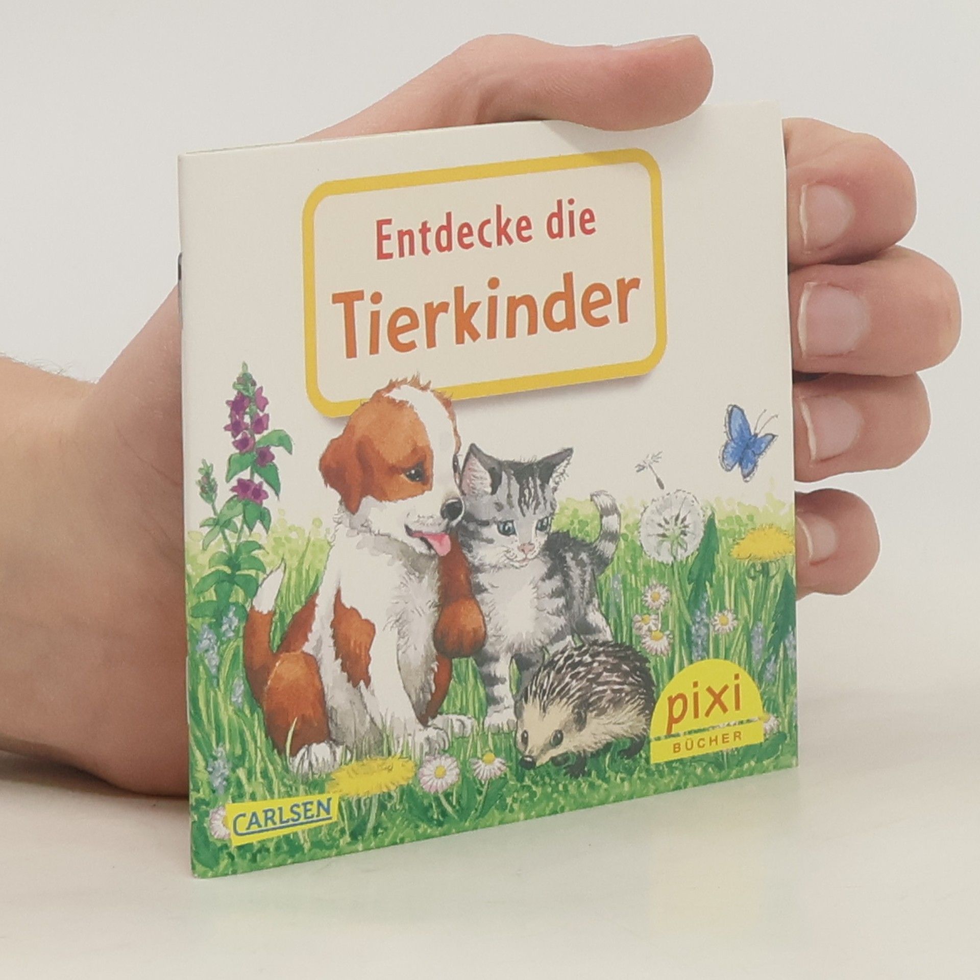 Kolektiv autorů WWS Pixi-Box 291: Entdecke deine Welt 4