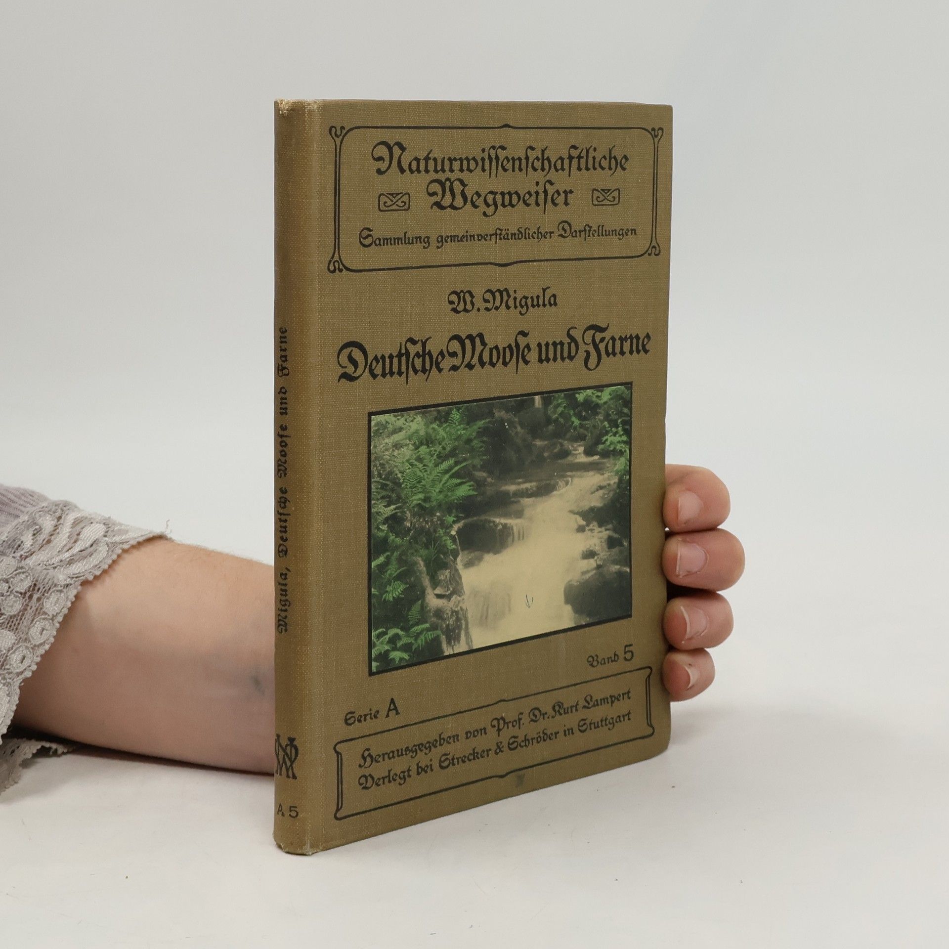 Deutsche Moose und Farne