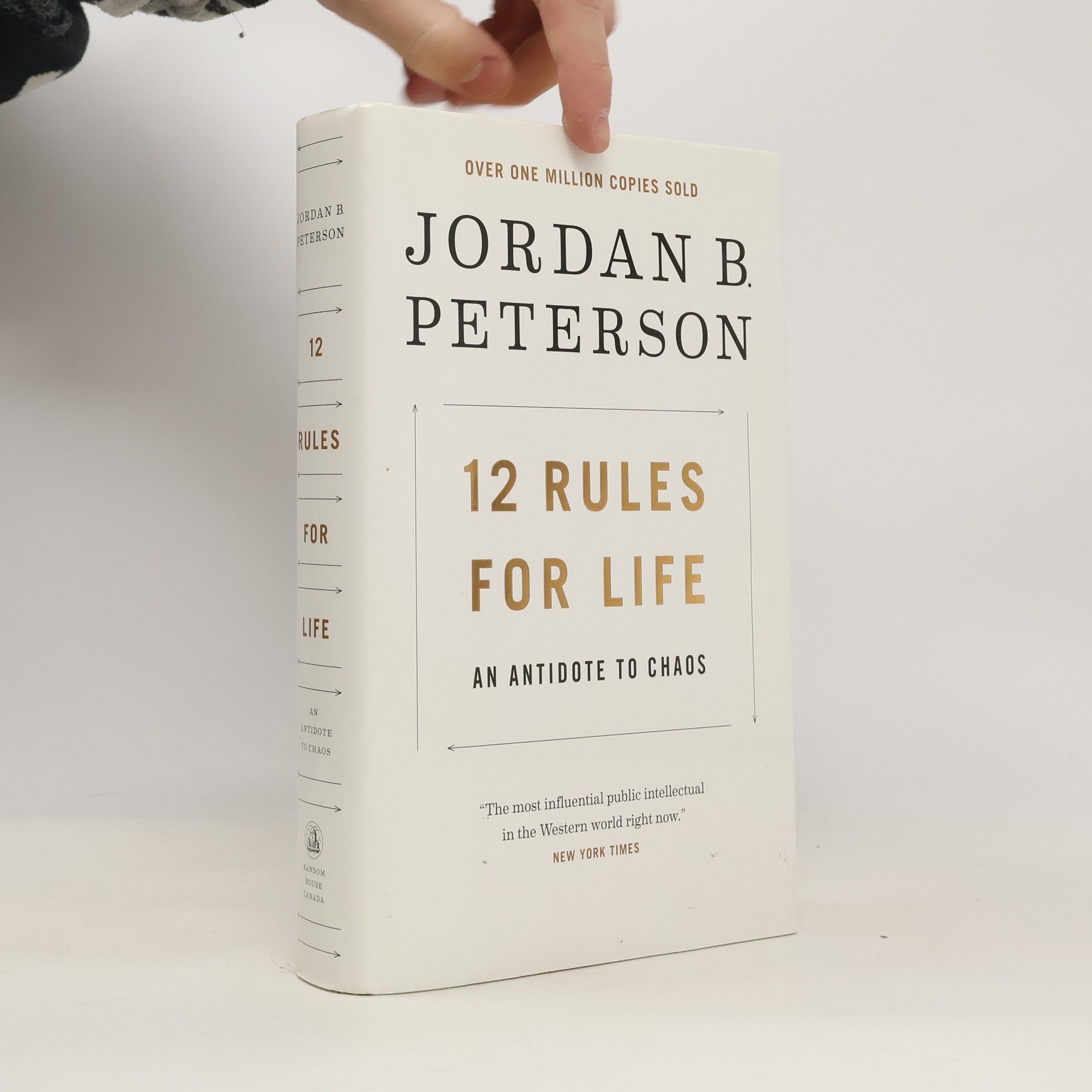 Jordan Peterson 12 Rules for Life