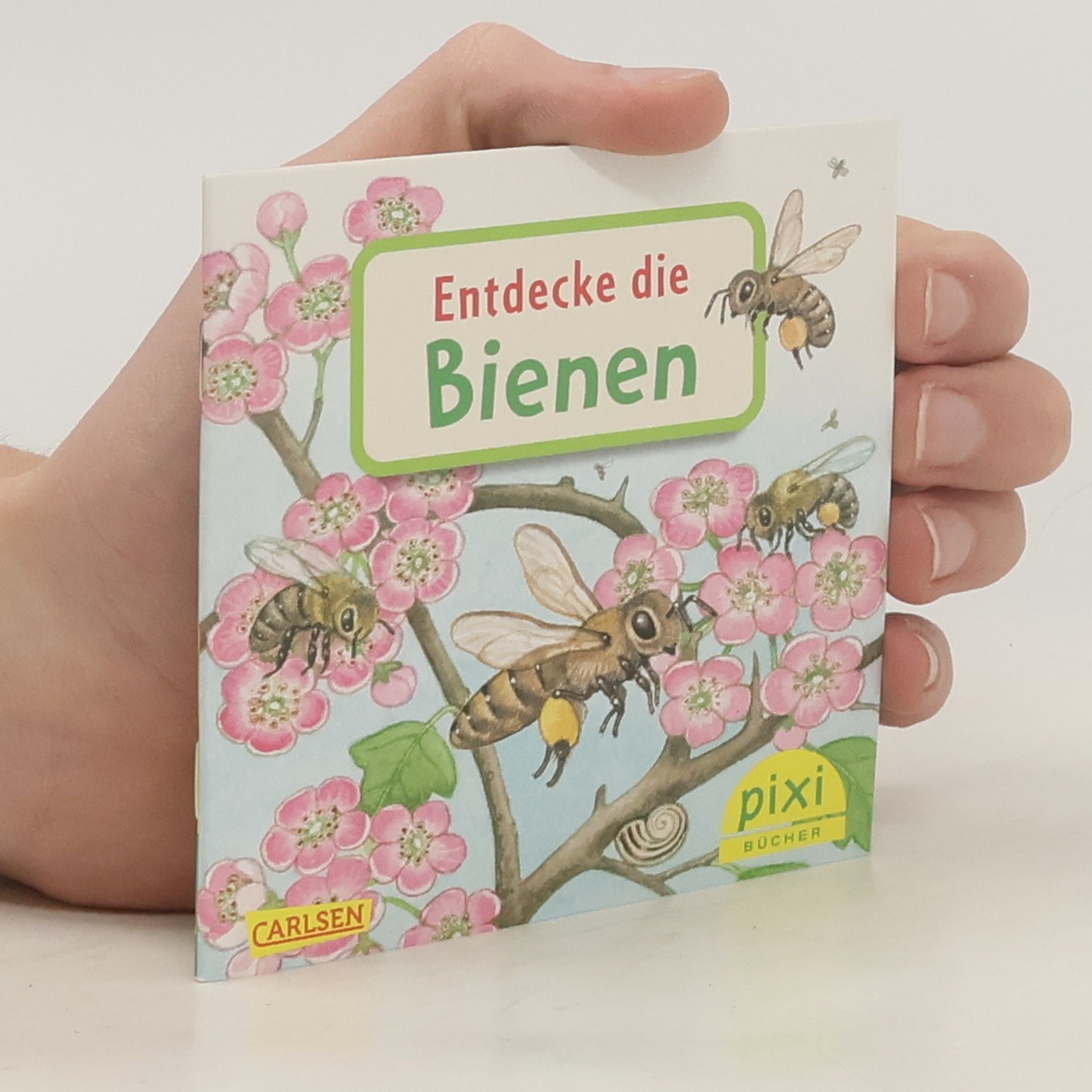 Various authors WWS Pixi-Box 291: Entdecke deine Welt 4