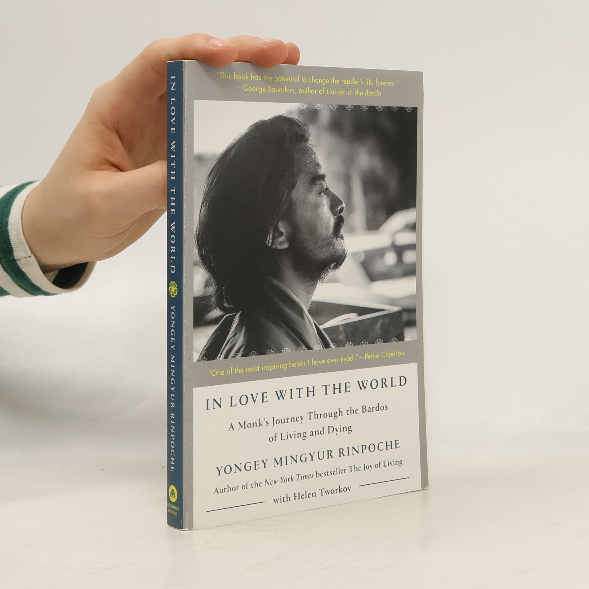 Yongey Mingyur Rinpoche In Love with the World