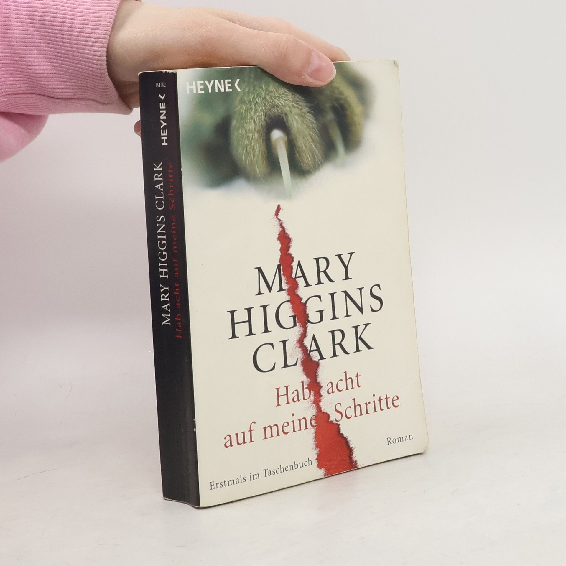 Mary Higgins Clark Hab acht auf meine Schritte