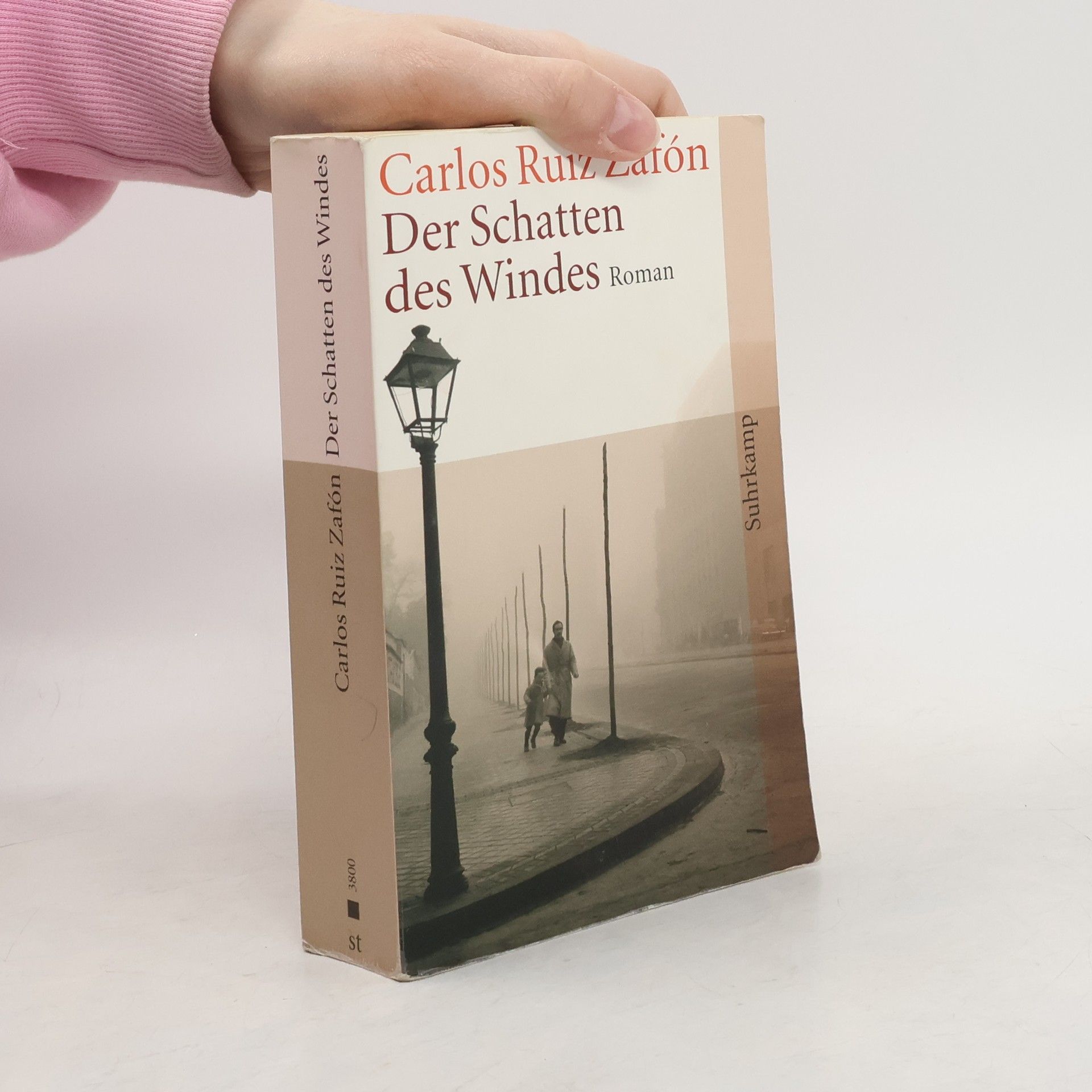 Carlos Ruiz Zafón Der Schatten des Windes