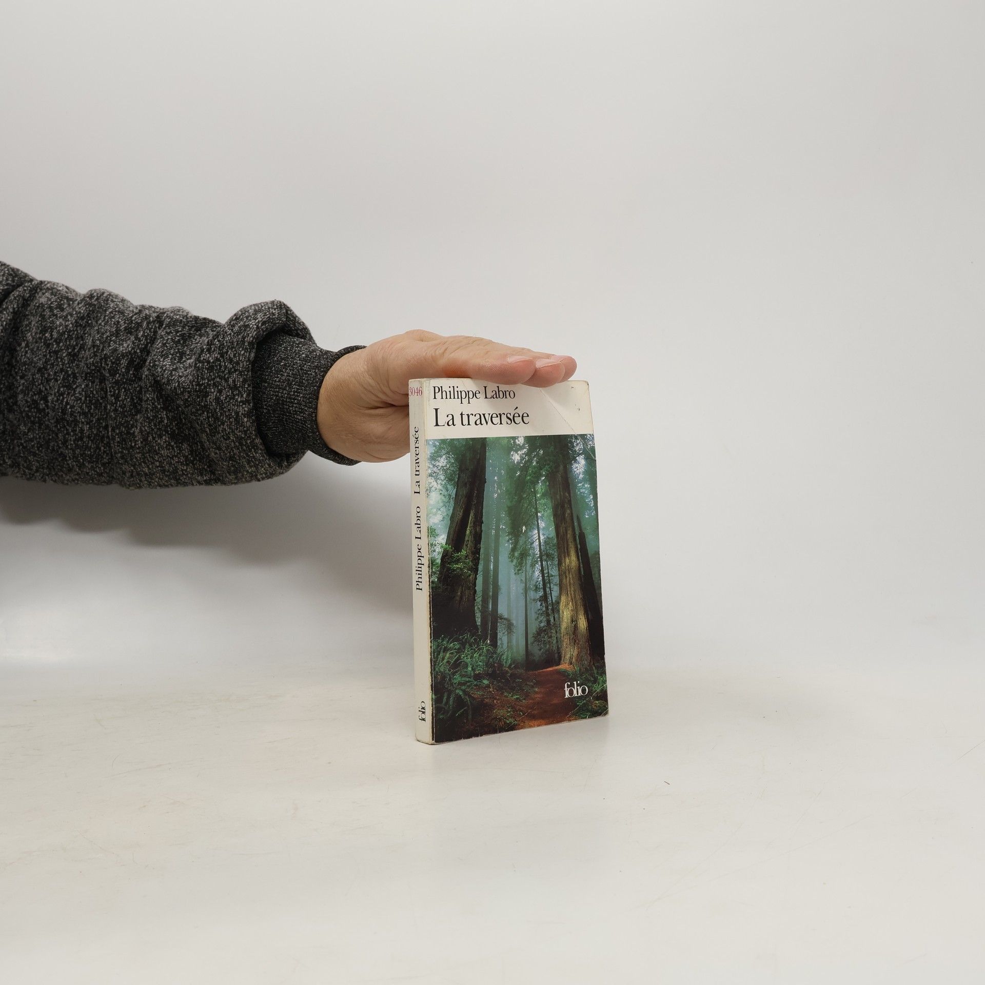 Philippe Labro Folio: La traversée