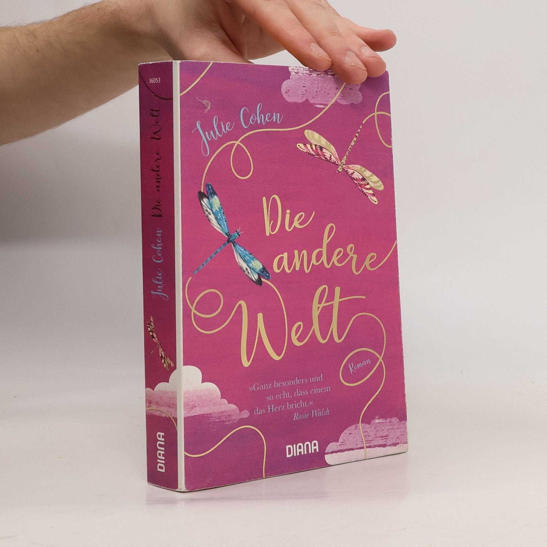 Julie Cohen Die andere Welt