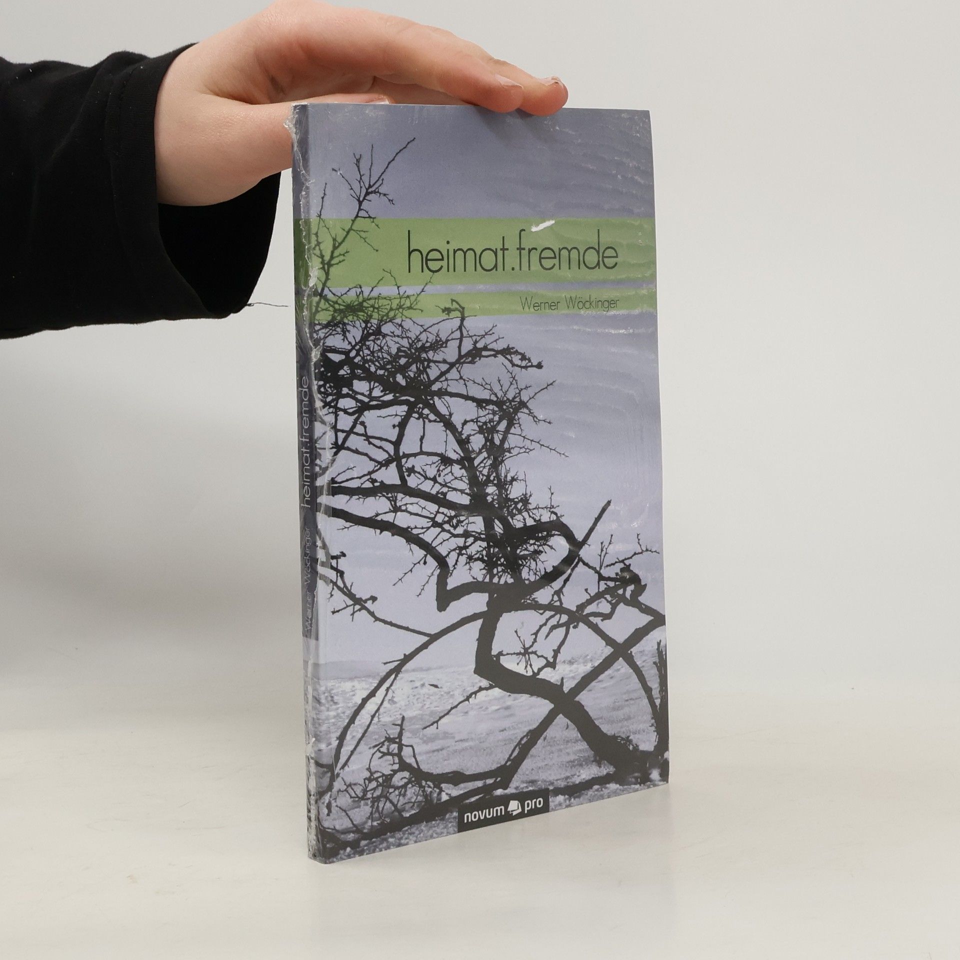 Werner Wöckinger Heimat Fremde
