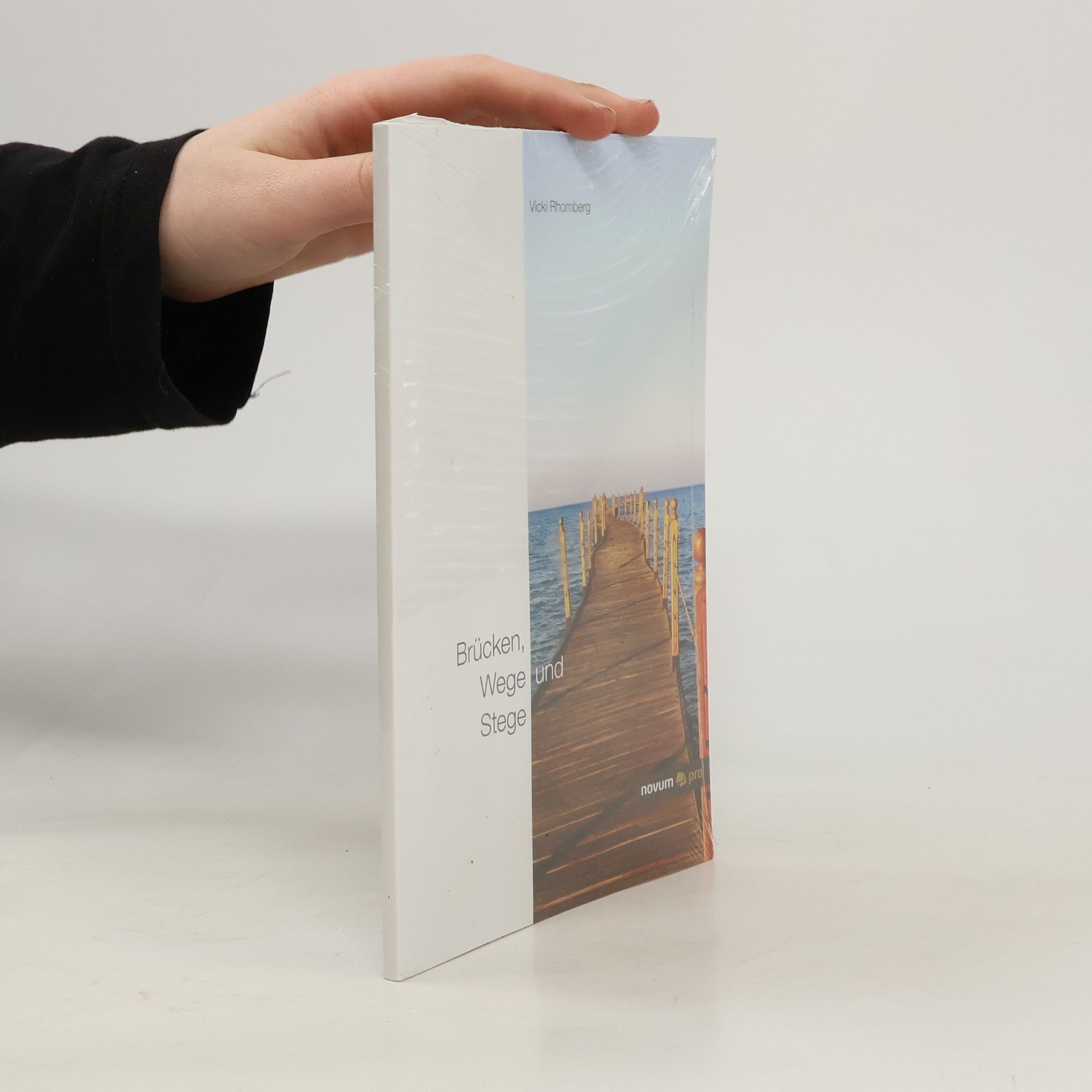 Vicki Rhomberg Brücken, Wege und Stege