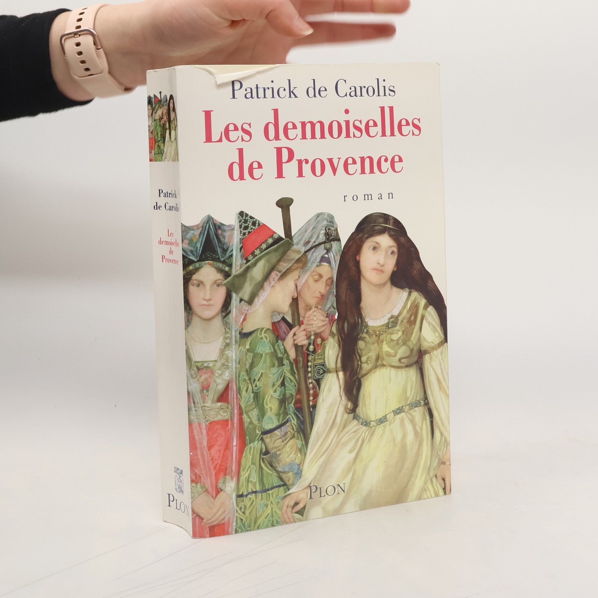 Patrick de Carolis Les demoiselles de Provence