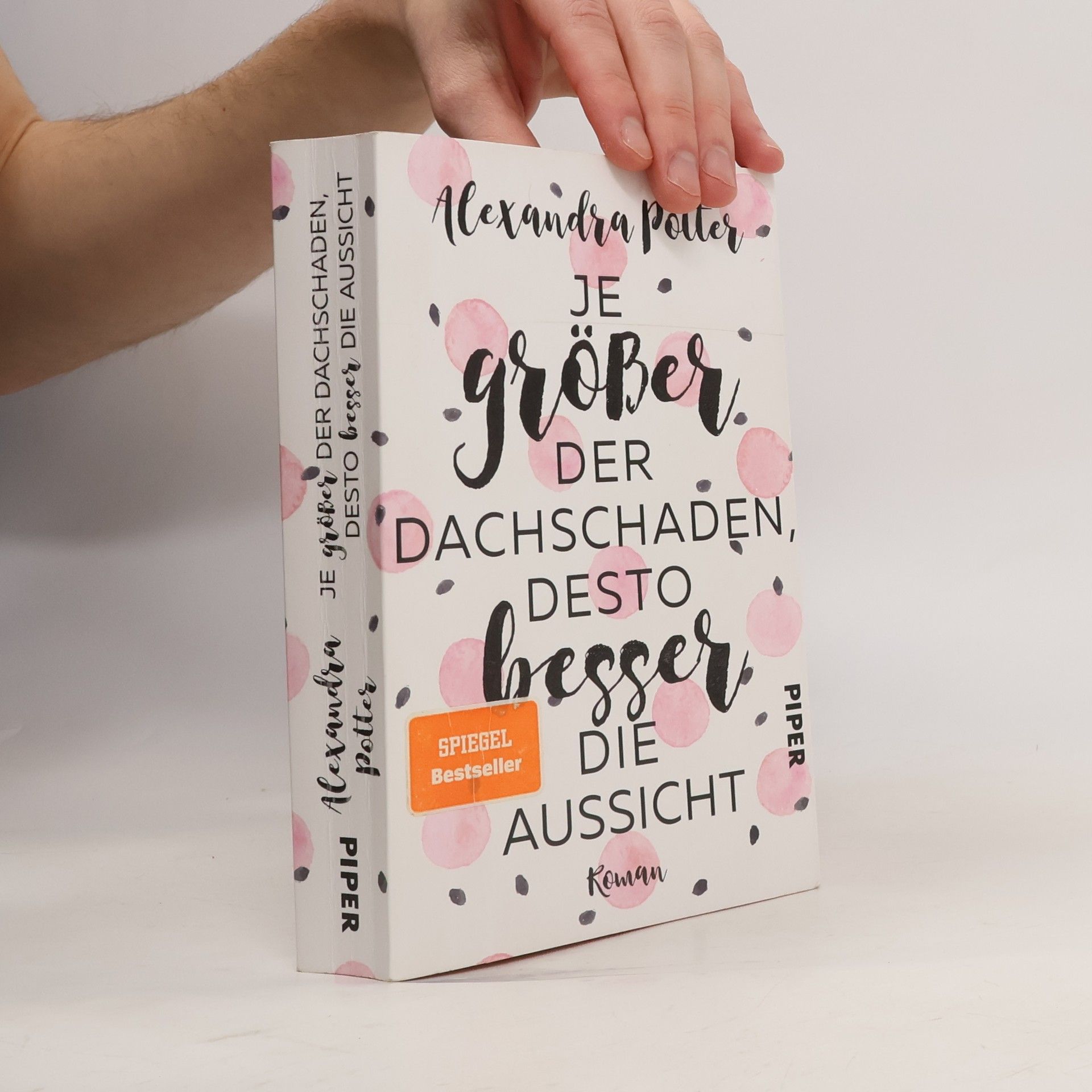 Alexandra Potter Je größer der Dachschaden, desto besser die Aussicht