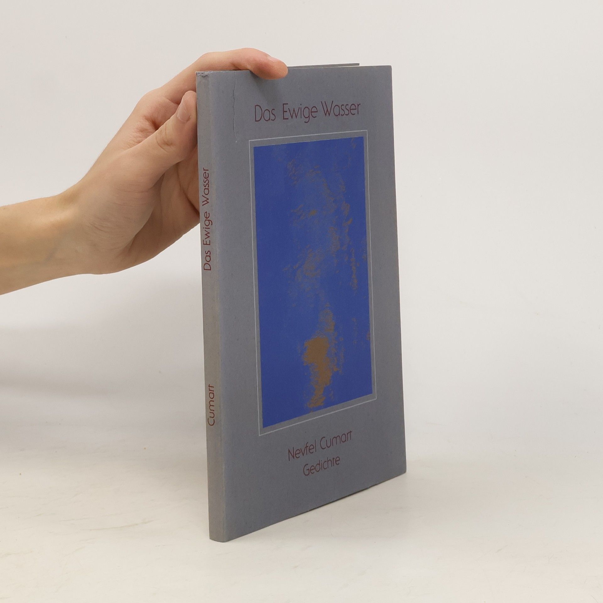 Nevfel Cumart Das ewige Wasser
