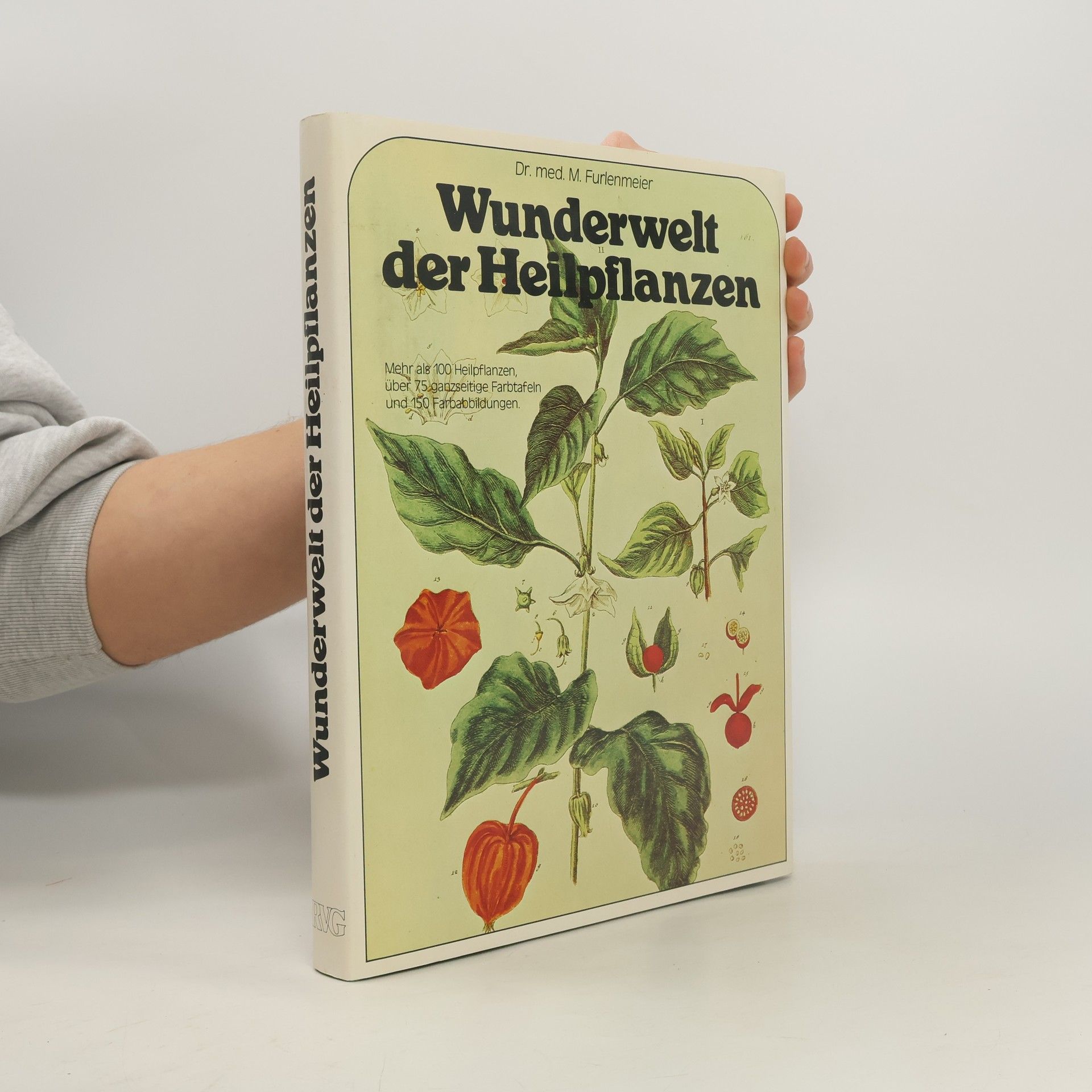 Martin Furlenmeier Wunderwelt der Heilpflanzen