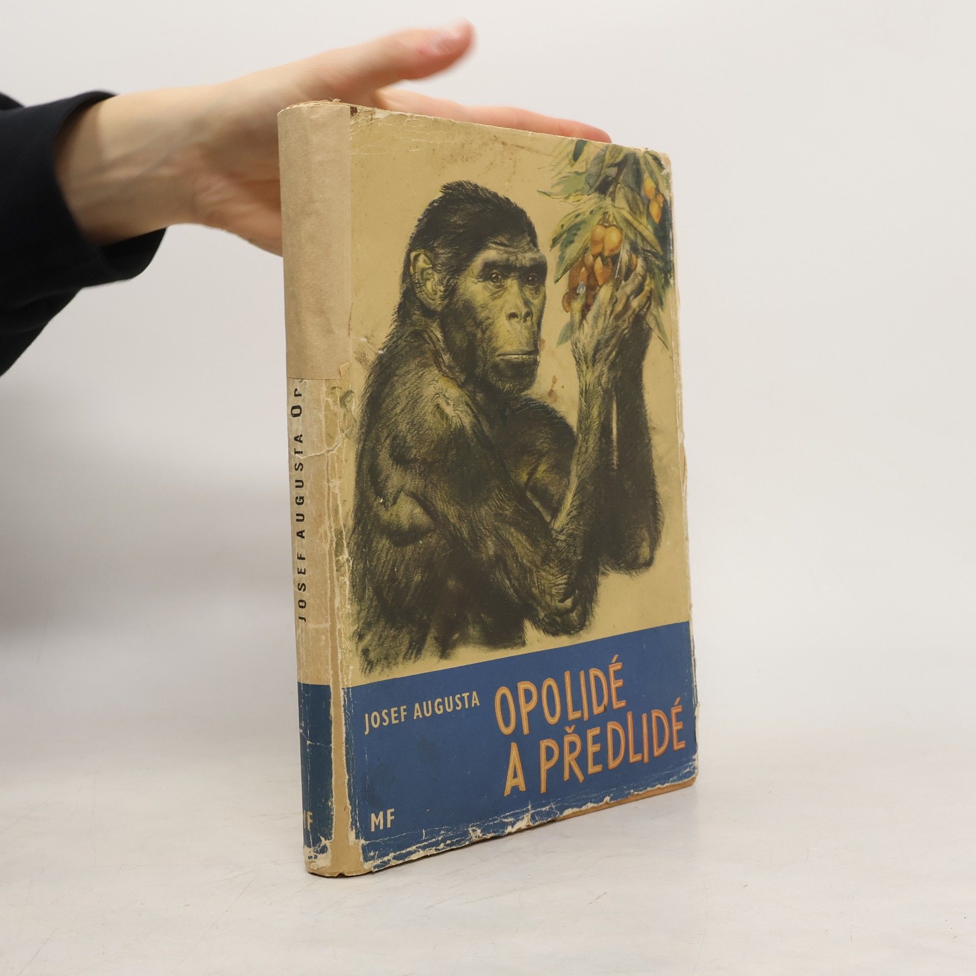 Josef Augusta Opolidé a předlidé