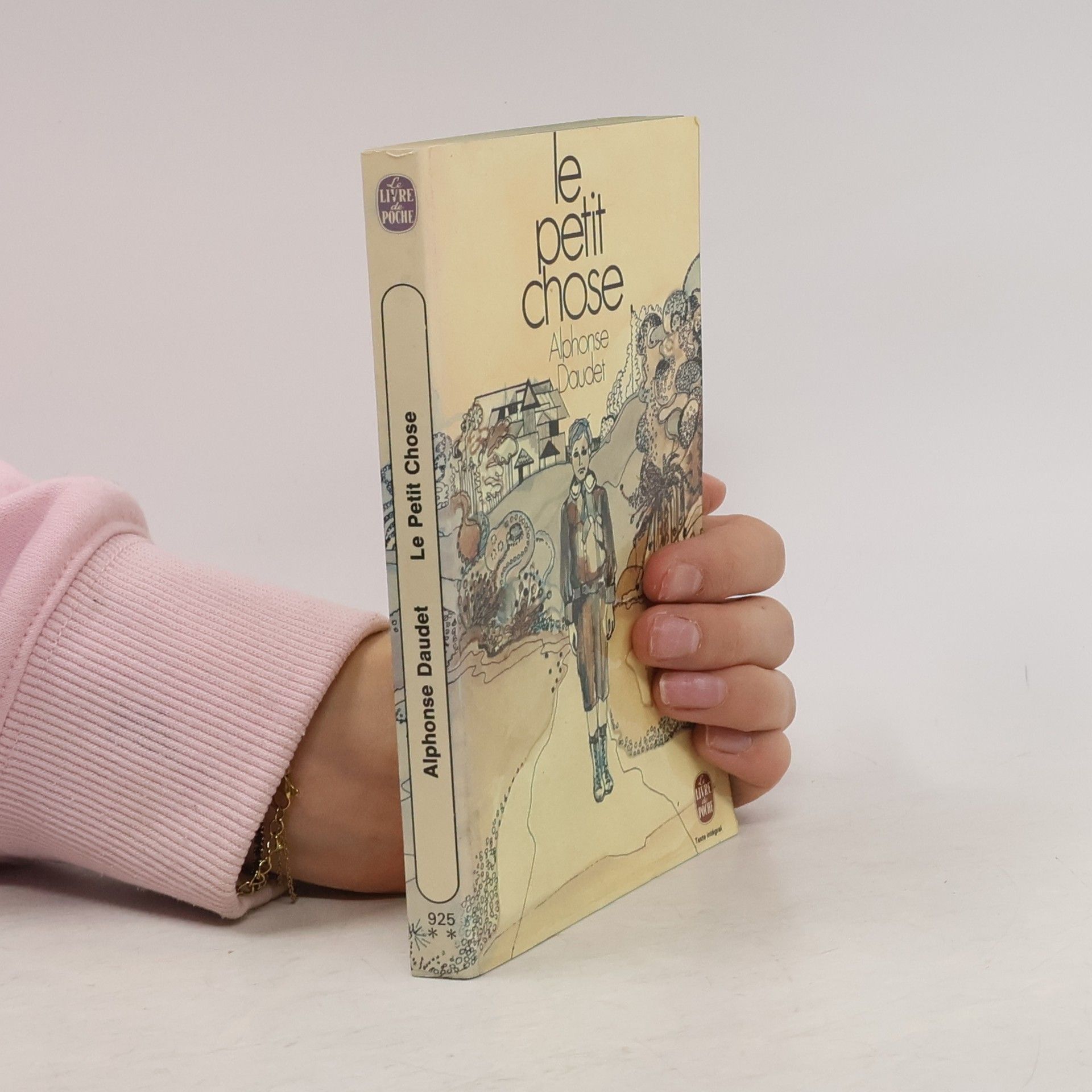 Le Petit Chose: histoire d'un enfant