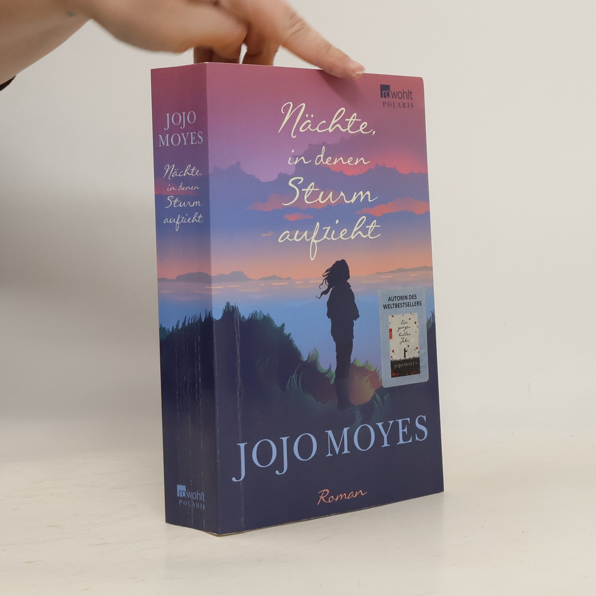 Jojo Moyes Nächte in denen Sturm aufzieht