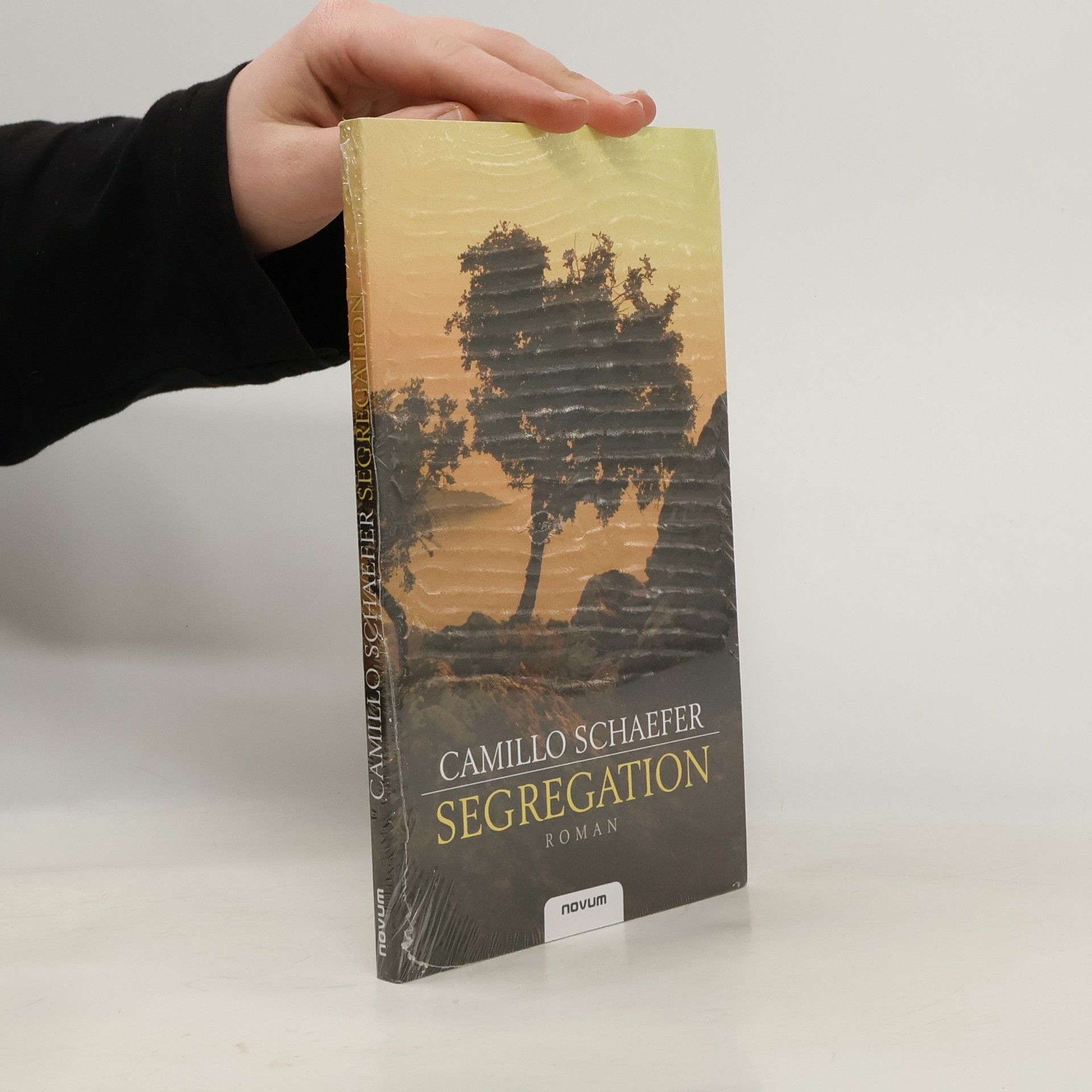 Camillo Schaefer Segregation