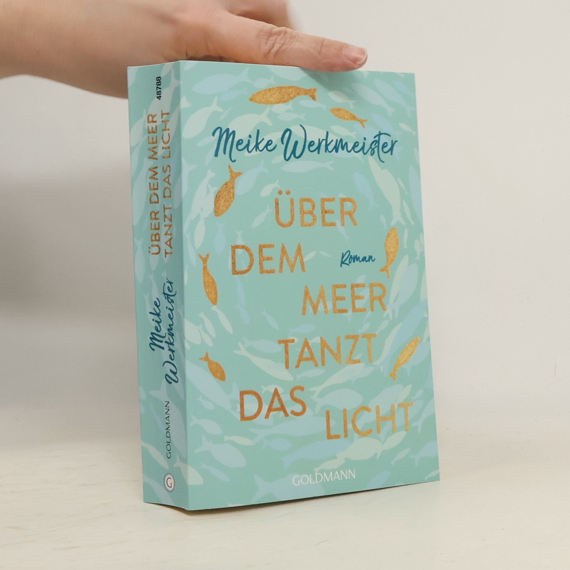 Meike Werkmeister Über dem Meer tanzt das Licht
