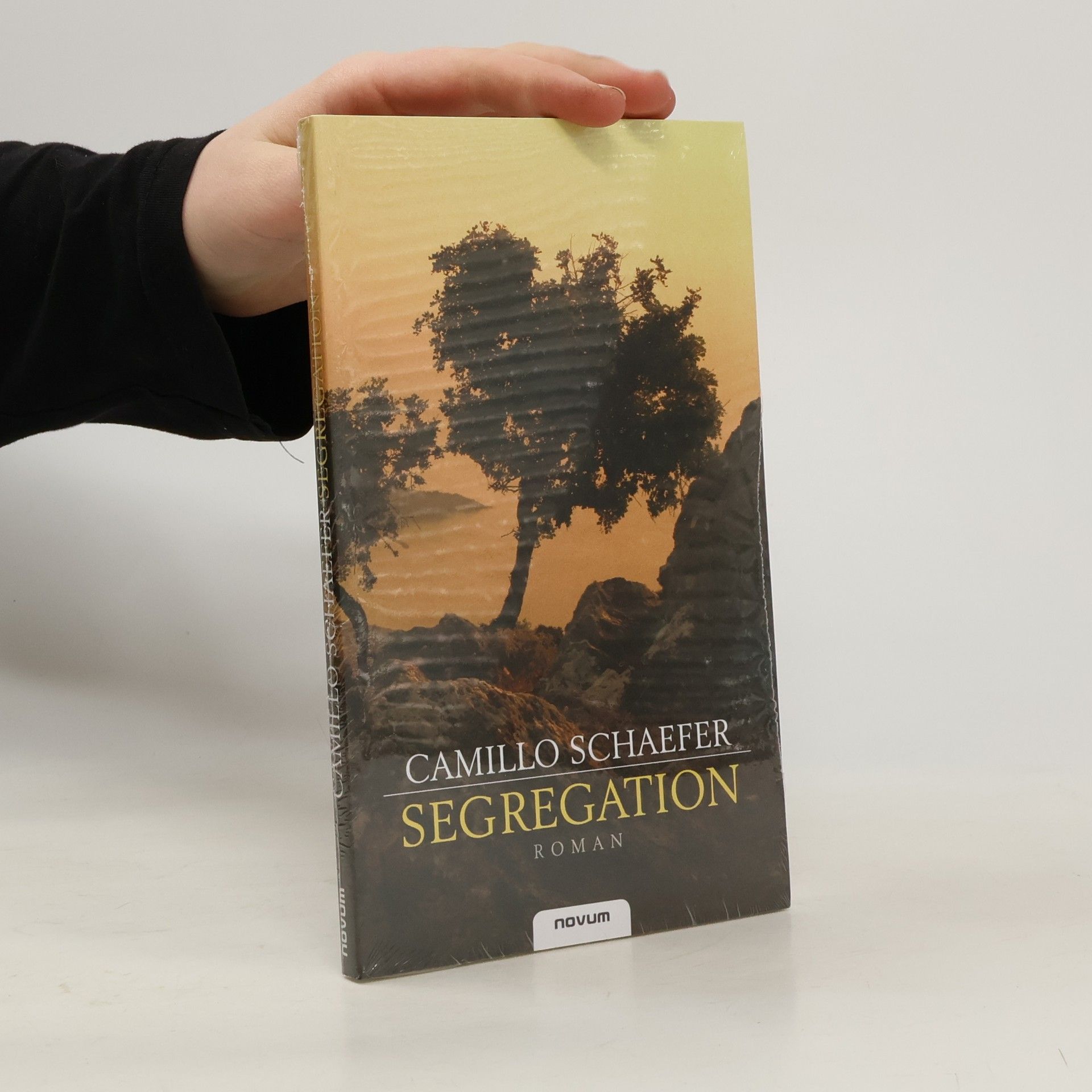 Camillo Schaefer Segregation
