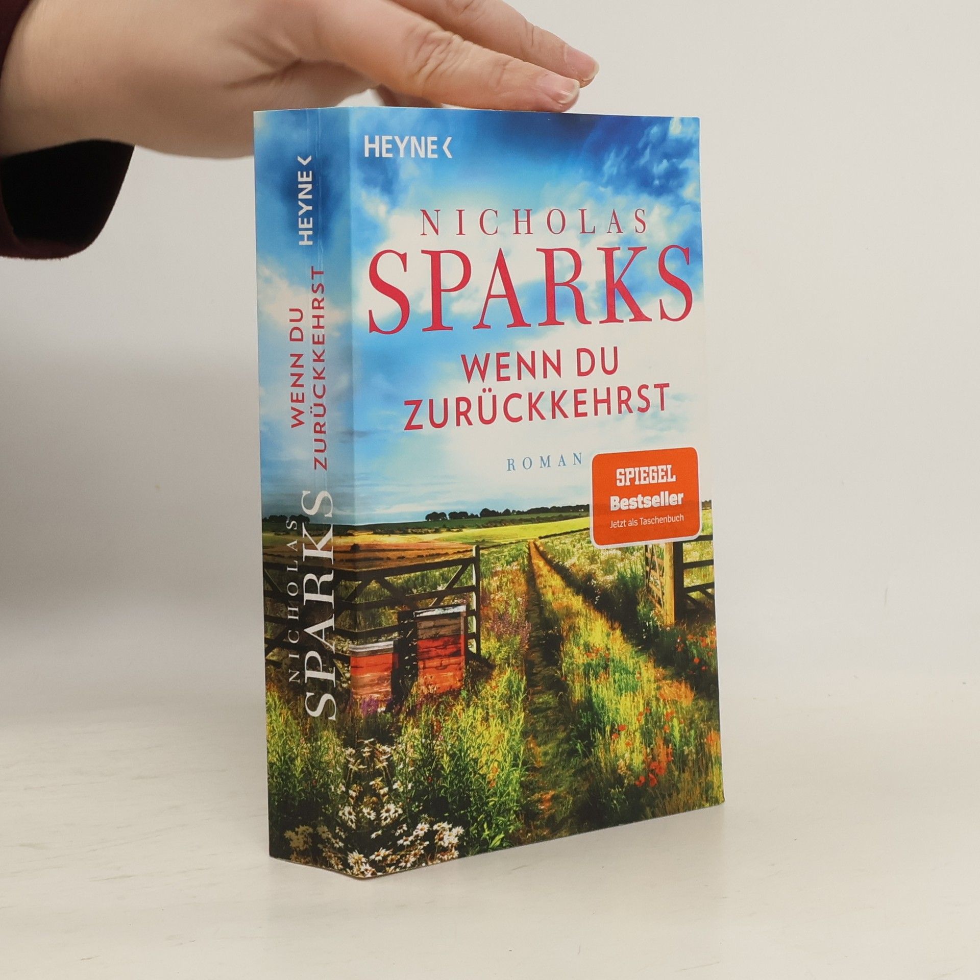 Nicholas Sparks Wenn du zurückkehrst