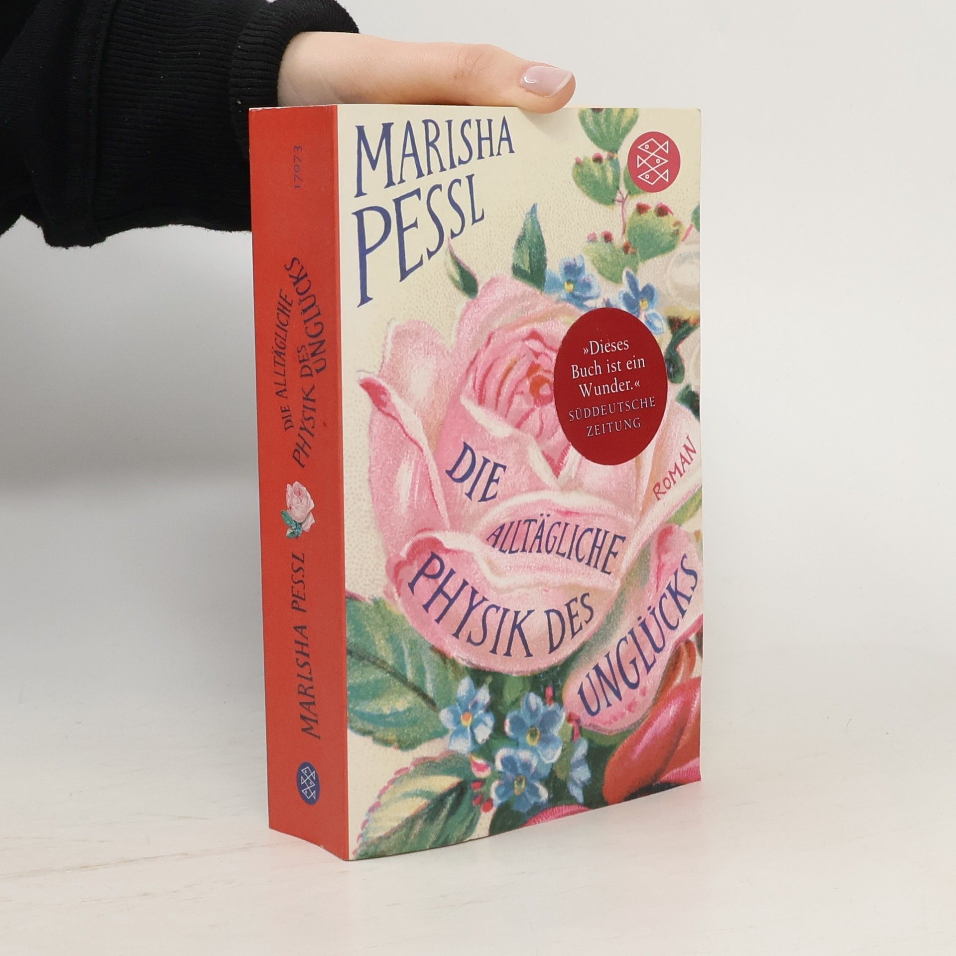 Marisha Pessl Die alltägliche Physik des Unglücks