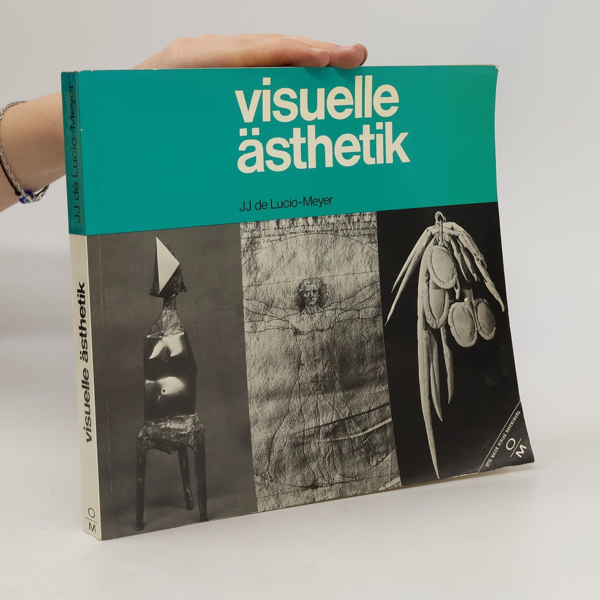 J. J. de Lucio-Meyer Visuelle Ästhetik