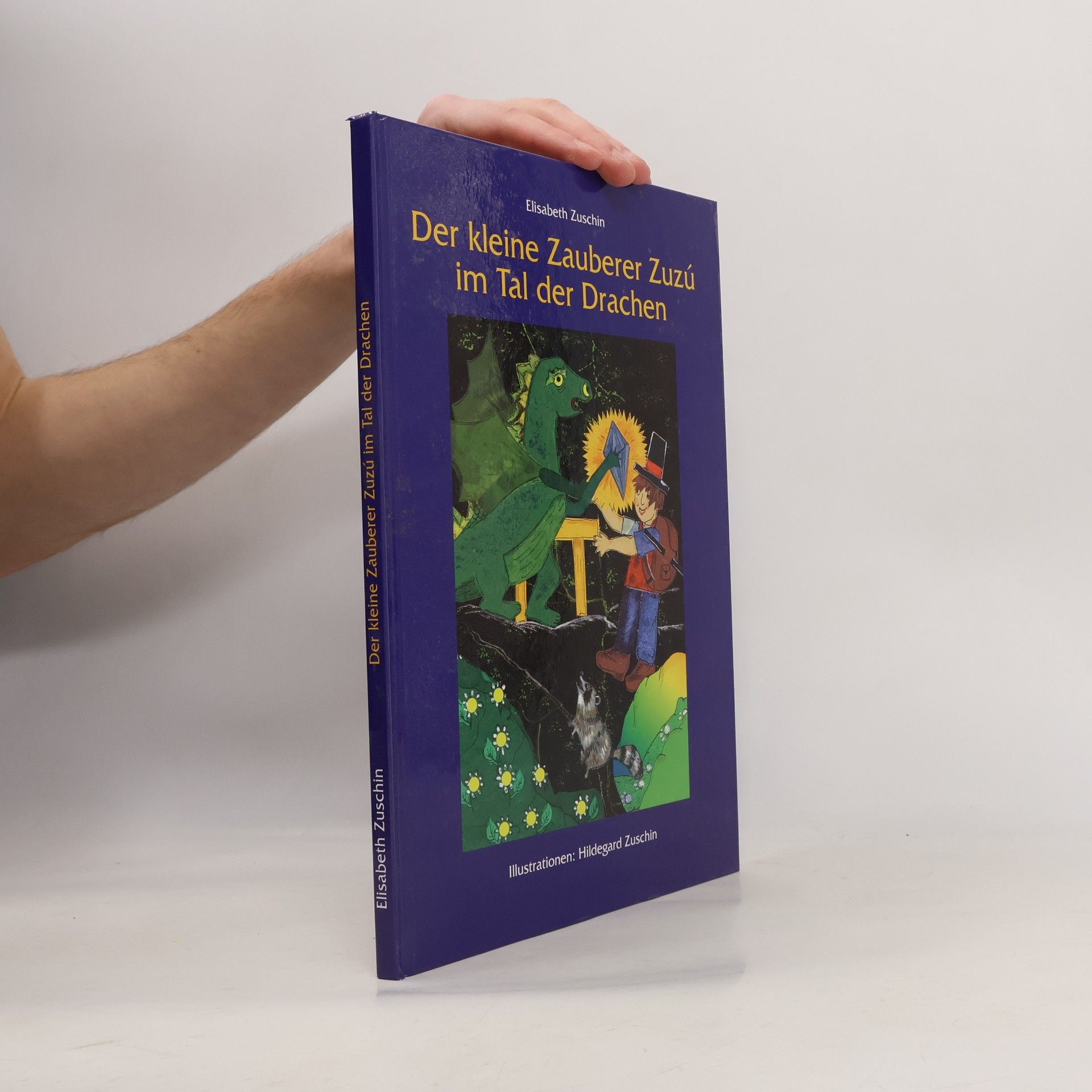 Elisabeth Zuschin Der kleine Zauberer Zuzú im Tal der Drachen