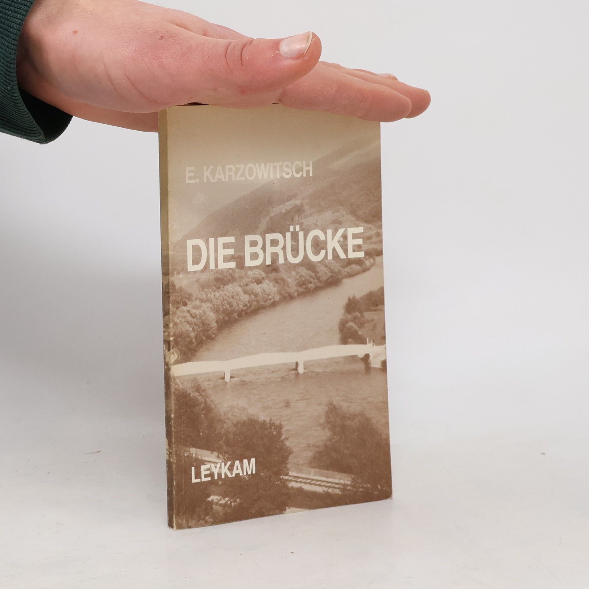 Erni Karzowitsch Die Brücke