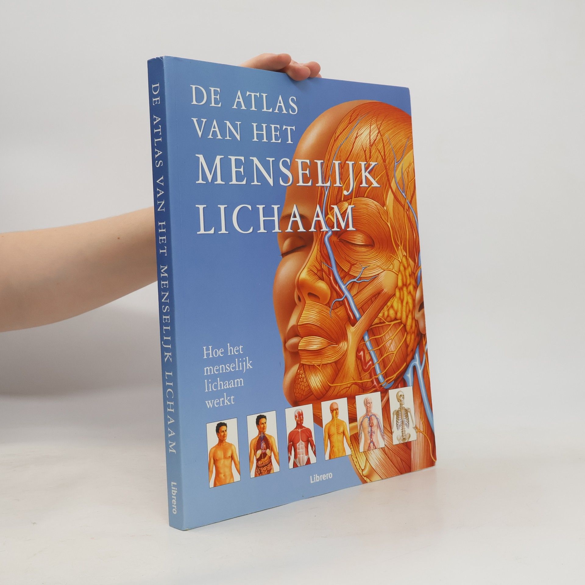 Autorenkollektiv De atlas van het menselijk lichaam