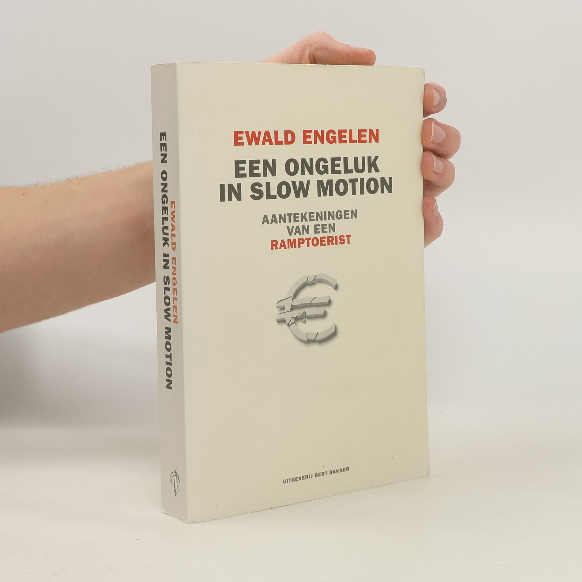 Ewald Rombout Engelen Een ongeluk in slow motion