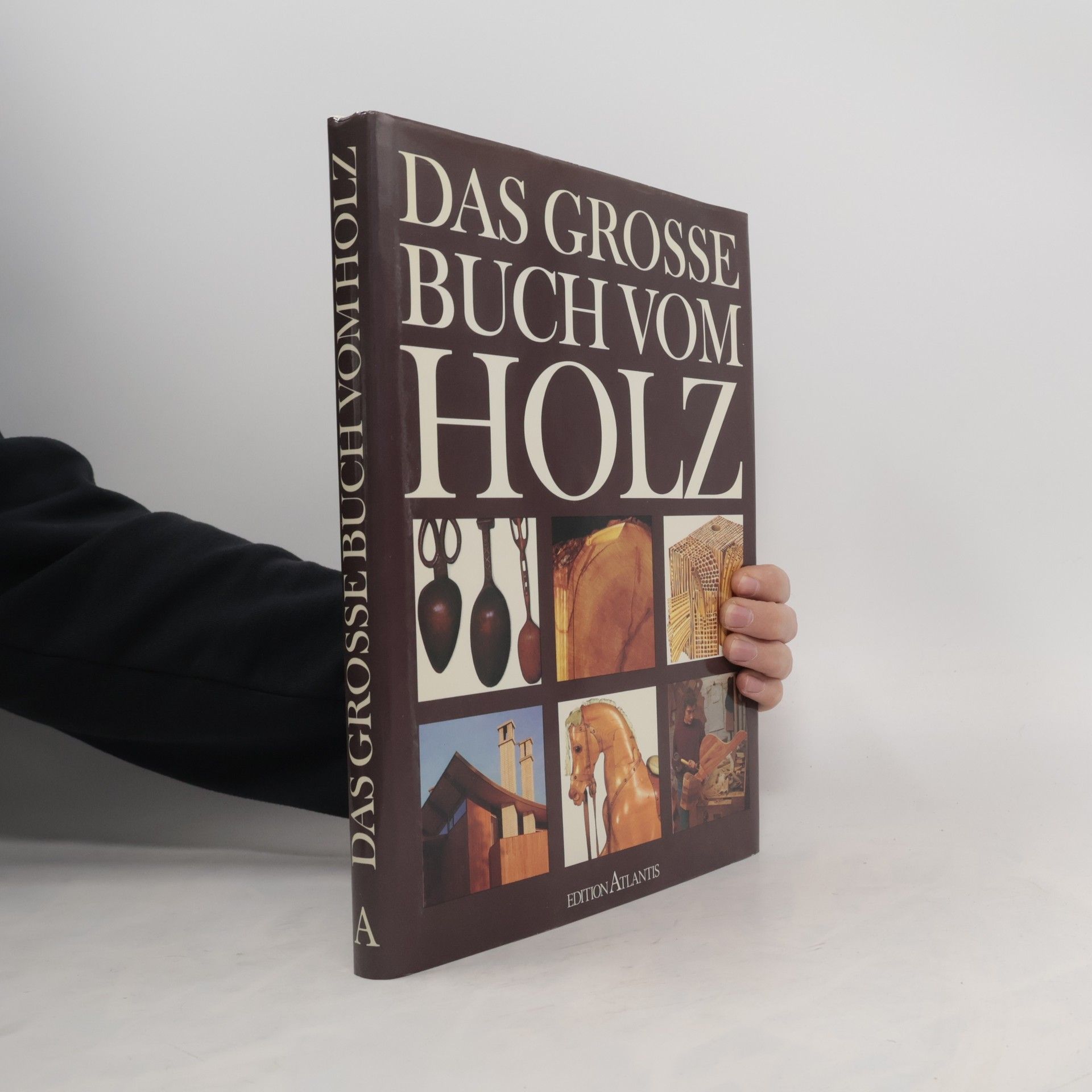 Autorenkollektiv Das grosse Buch vom Holz