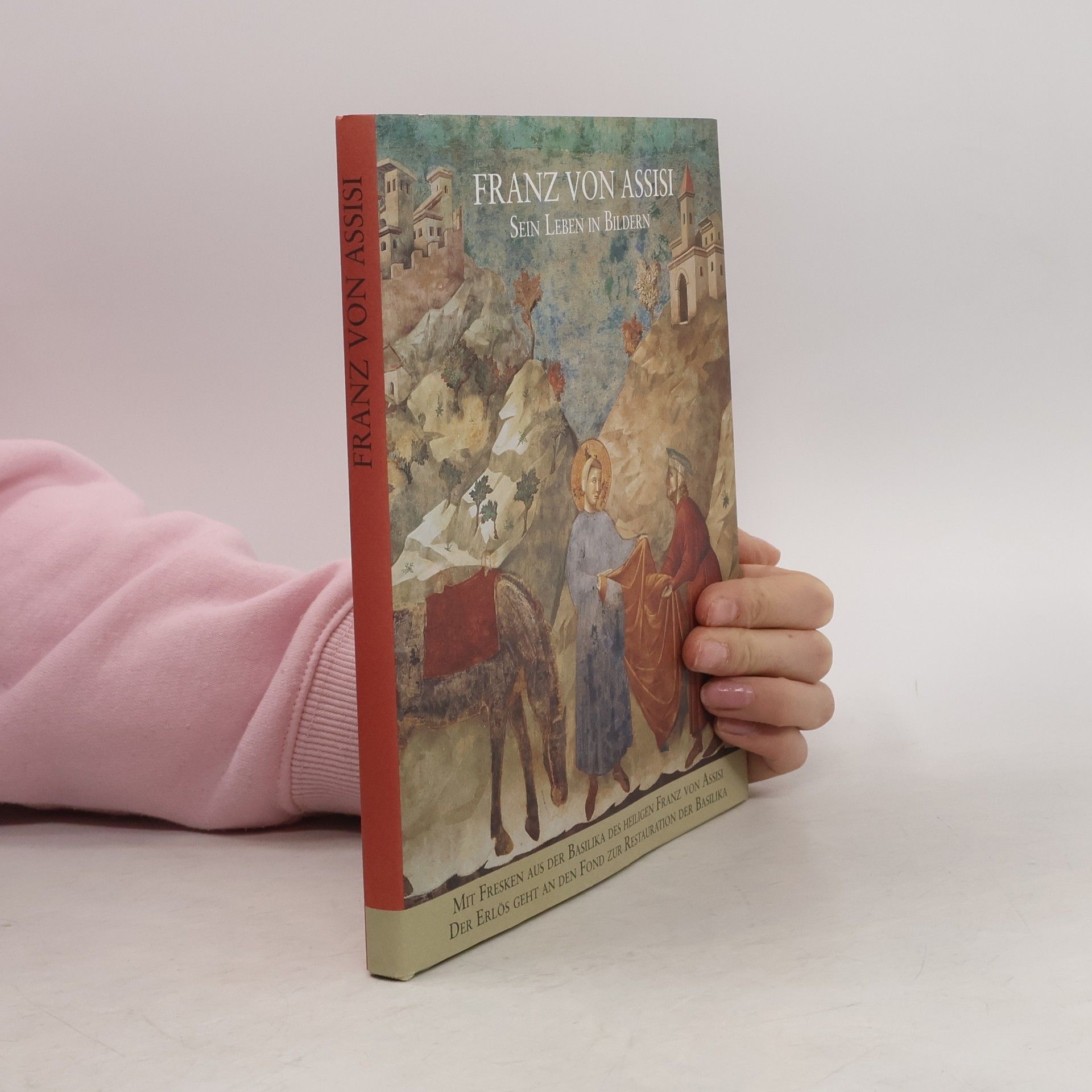 Autorenkollektiv Franz von Assisi