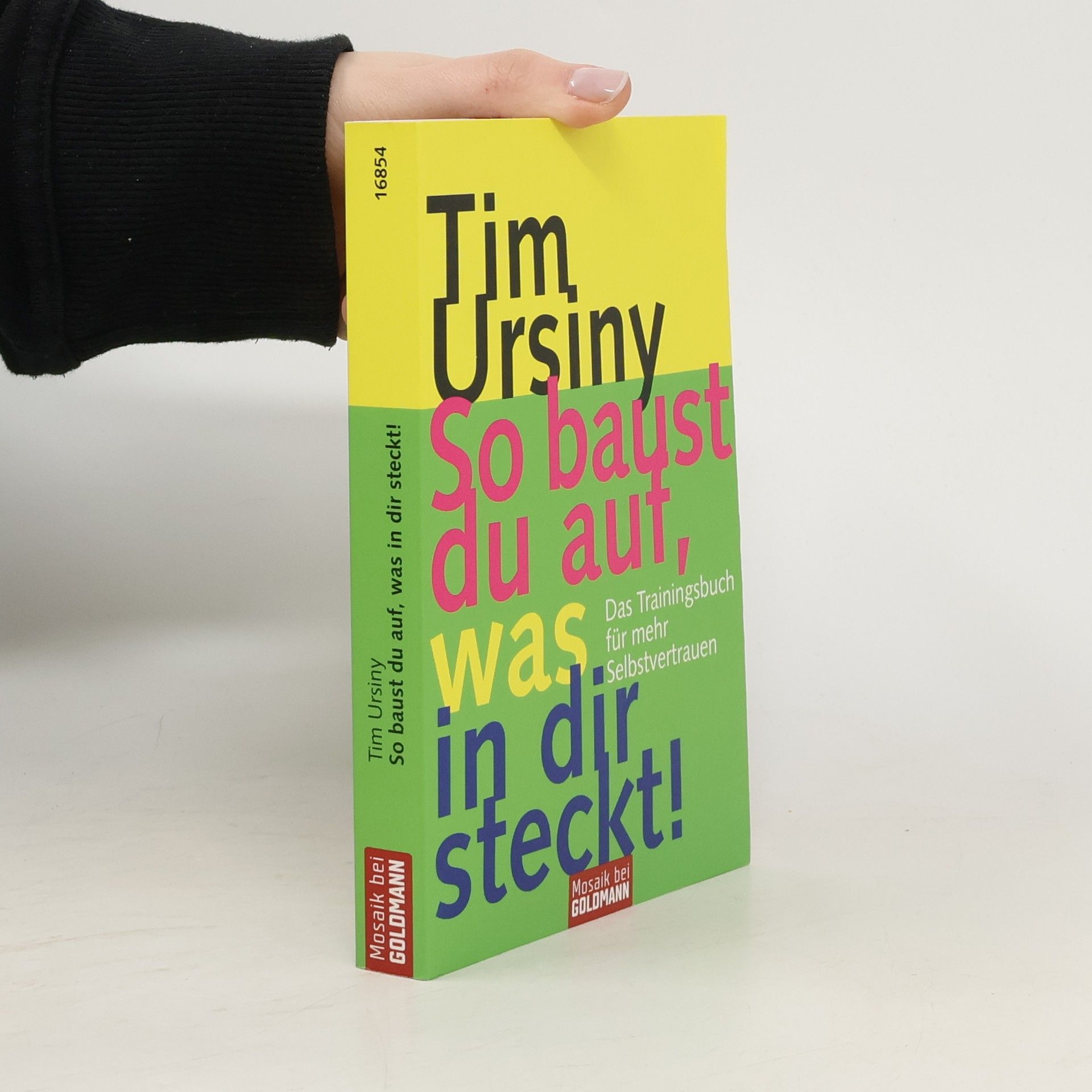 Tim Ursiny So baust du auf, was in dir steckt!