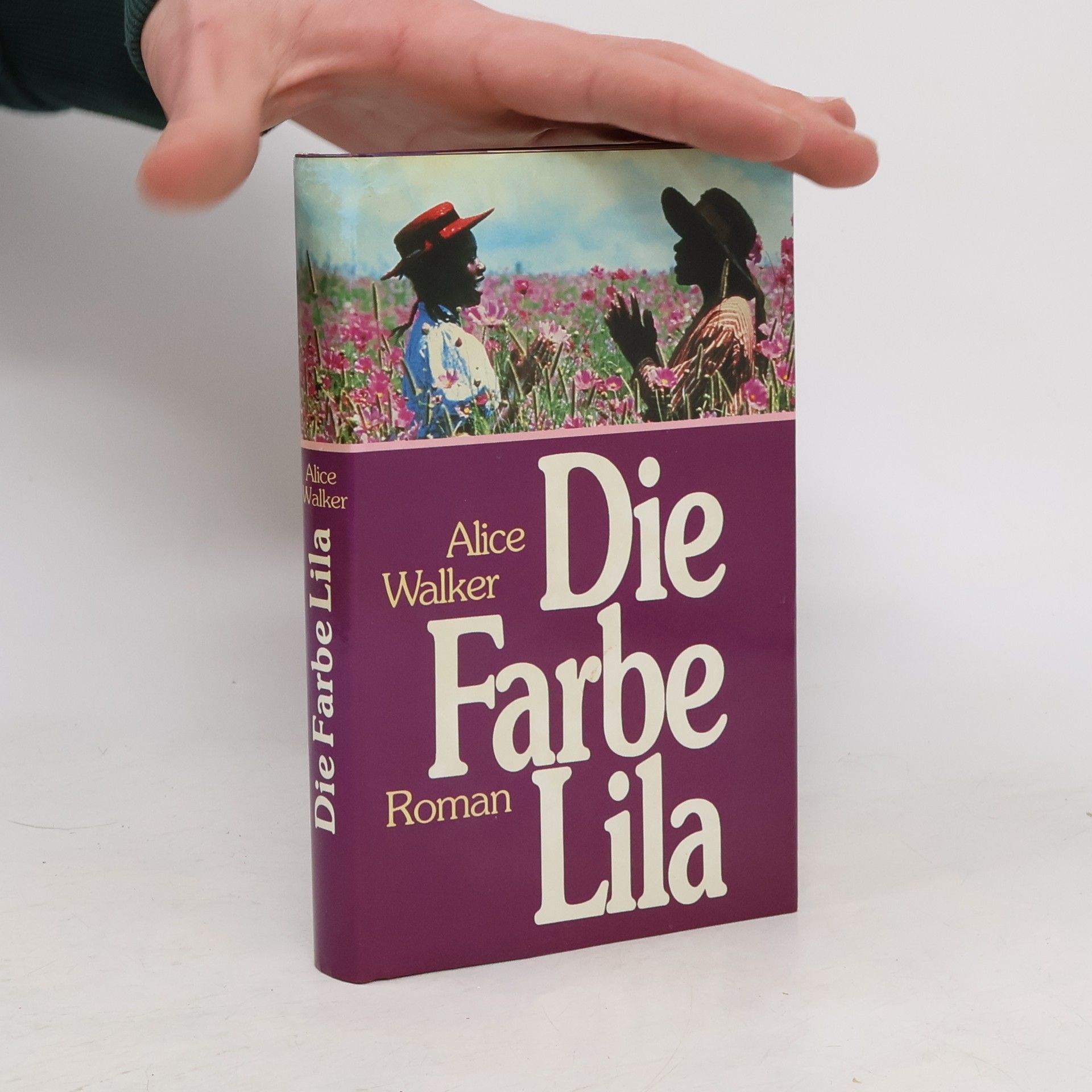 Alice Walker Die Farbe Lila