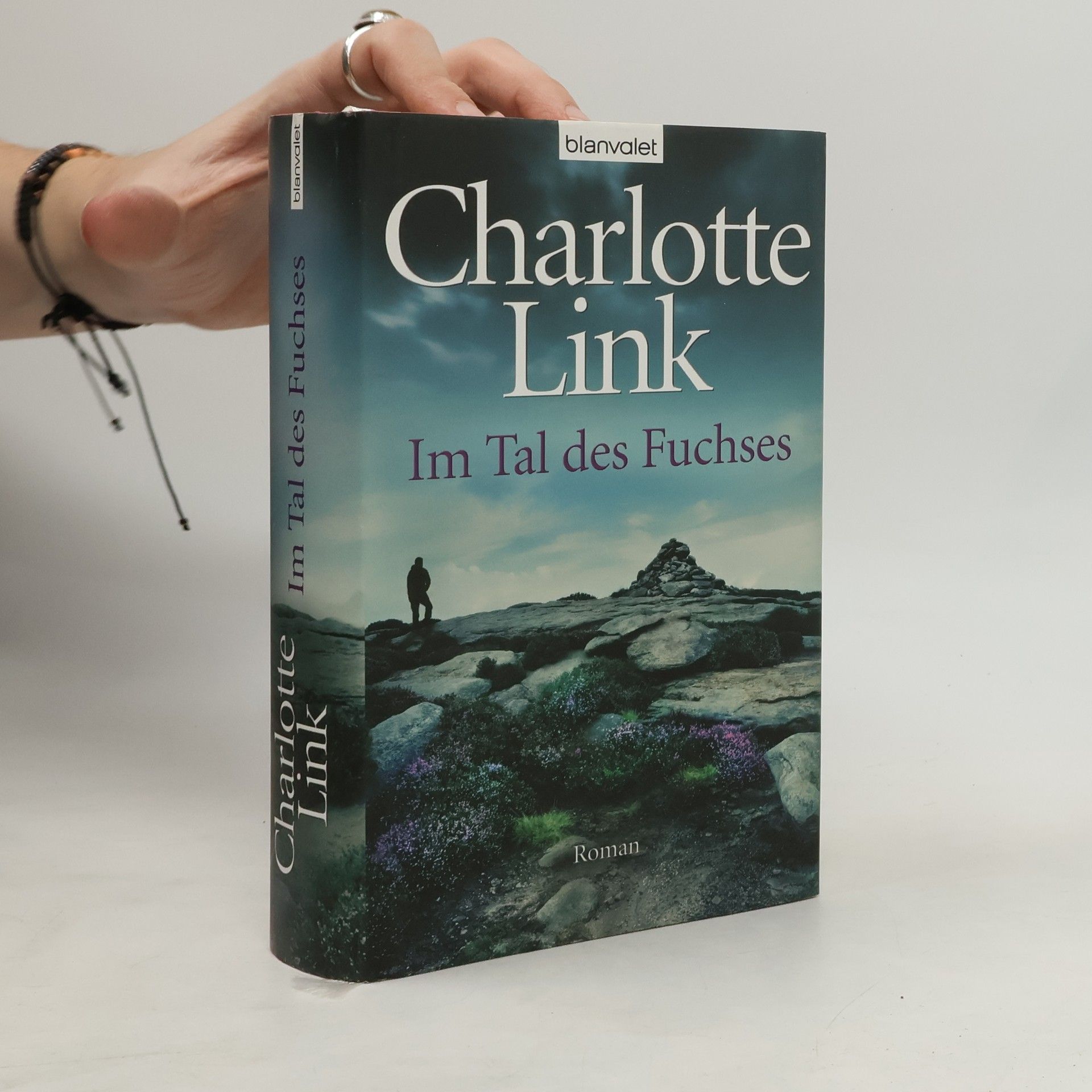 Charlotte Link Im Tal des Fuchses