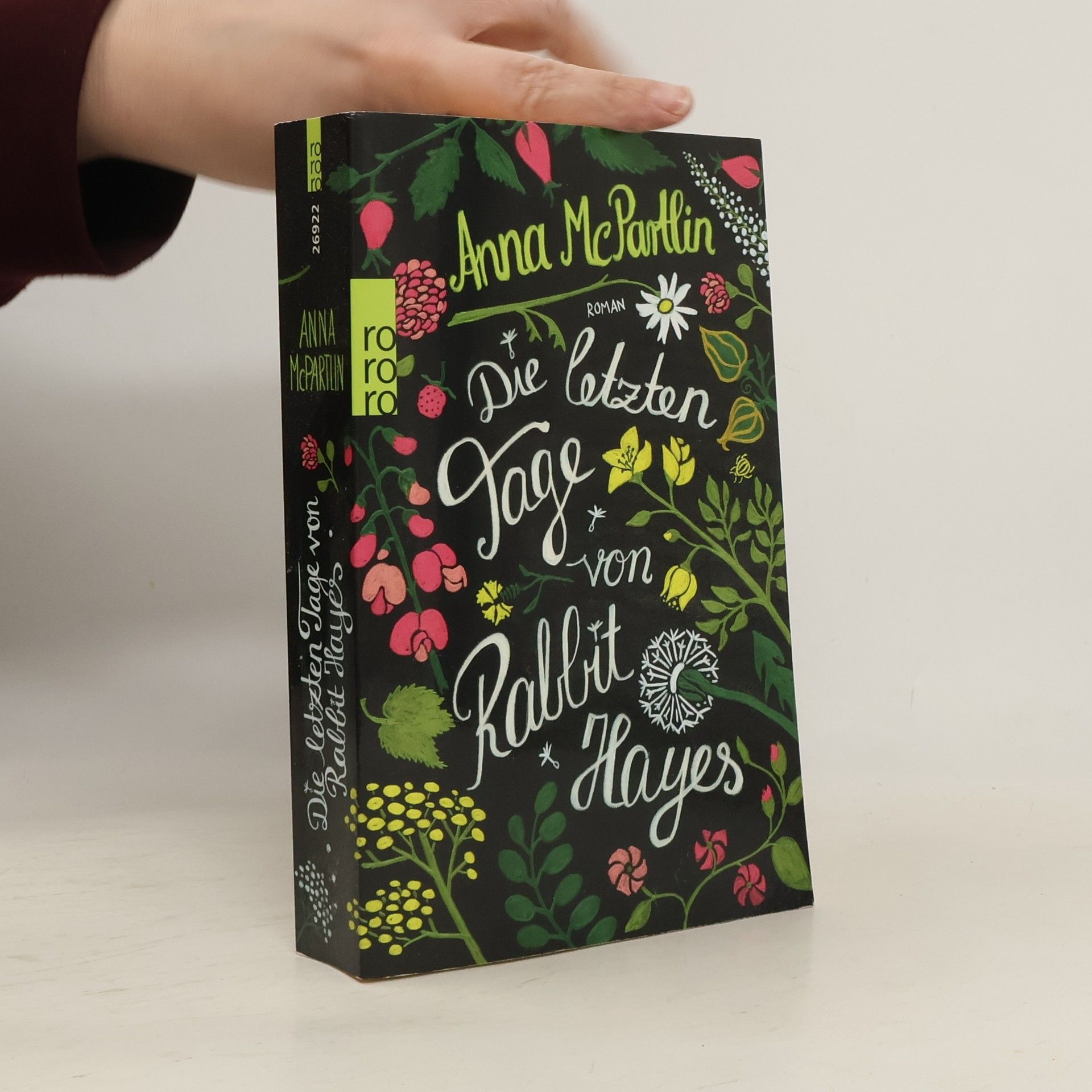 Anna Mc Partlin Die letzten Tage von Rabbit Hayes