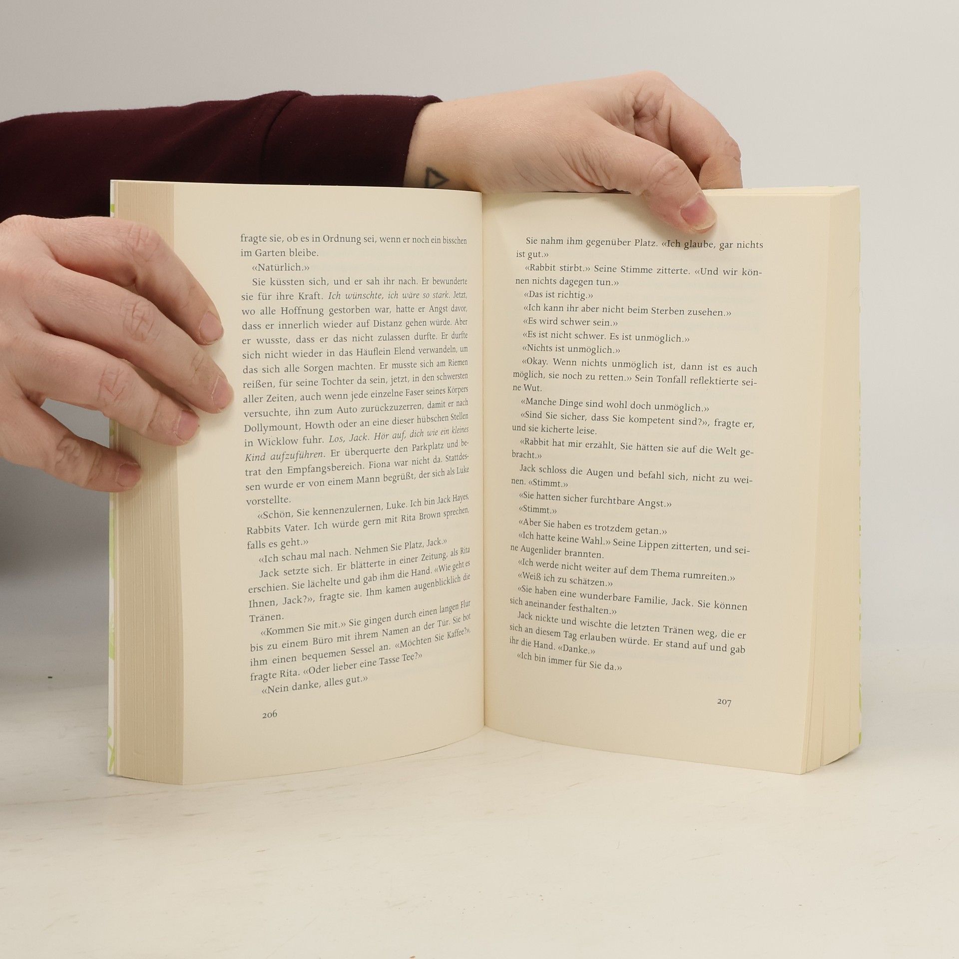 Anna Mc Partlin Die letzten Tage von Rabbit Hayes