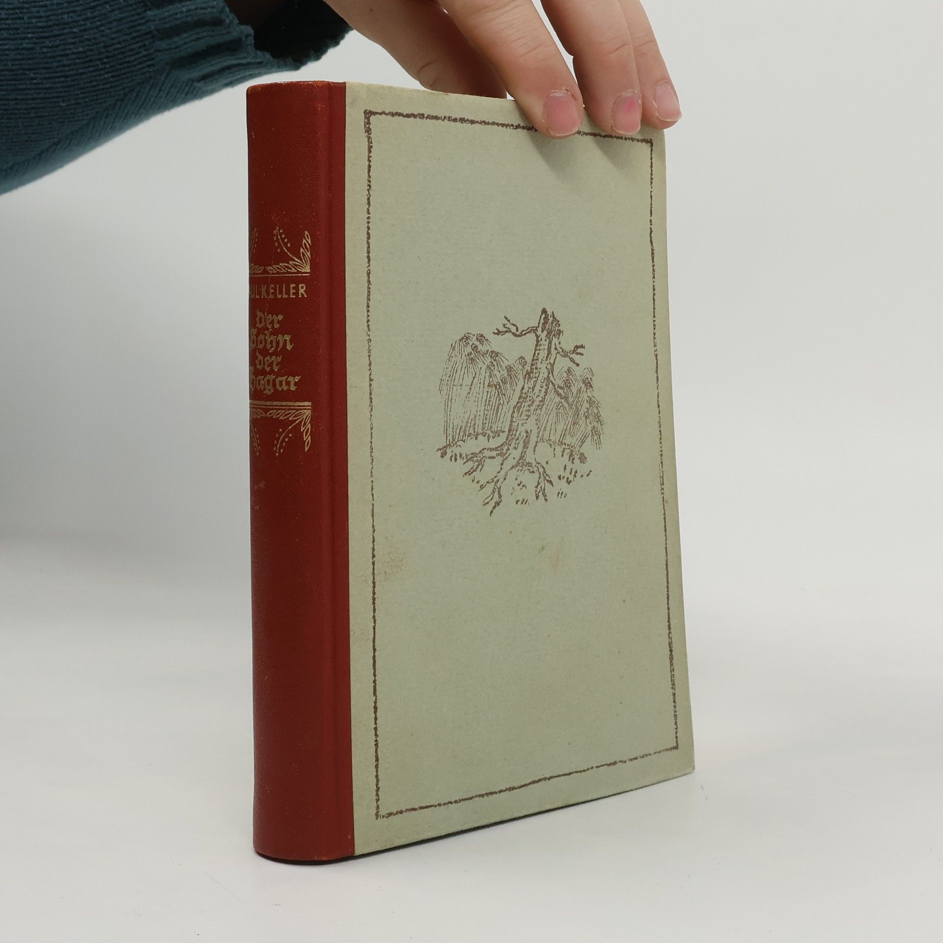 Paul Keller Der Sohn der Hagar