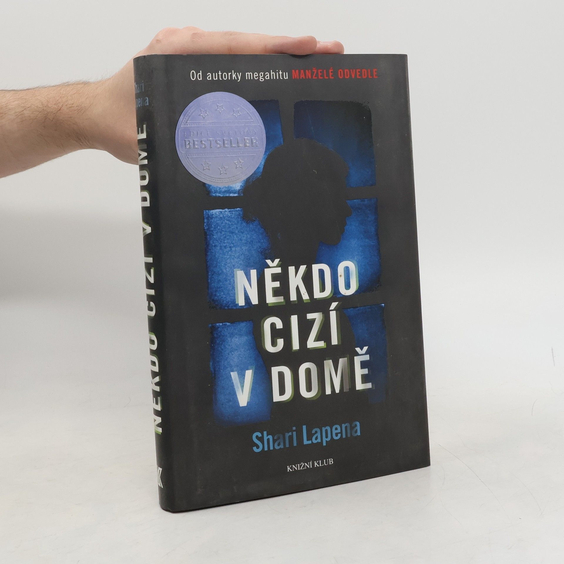 Shari Lapenová Někdo cizí v domě