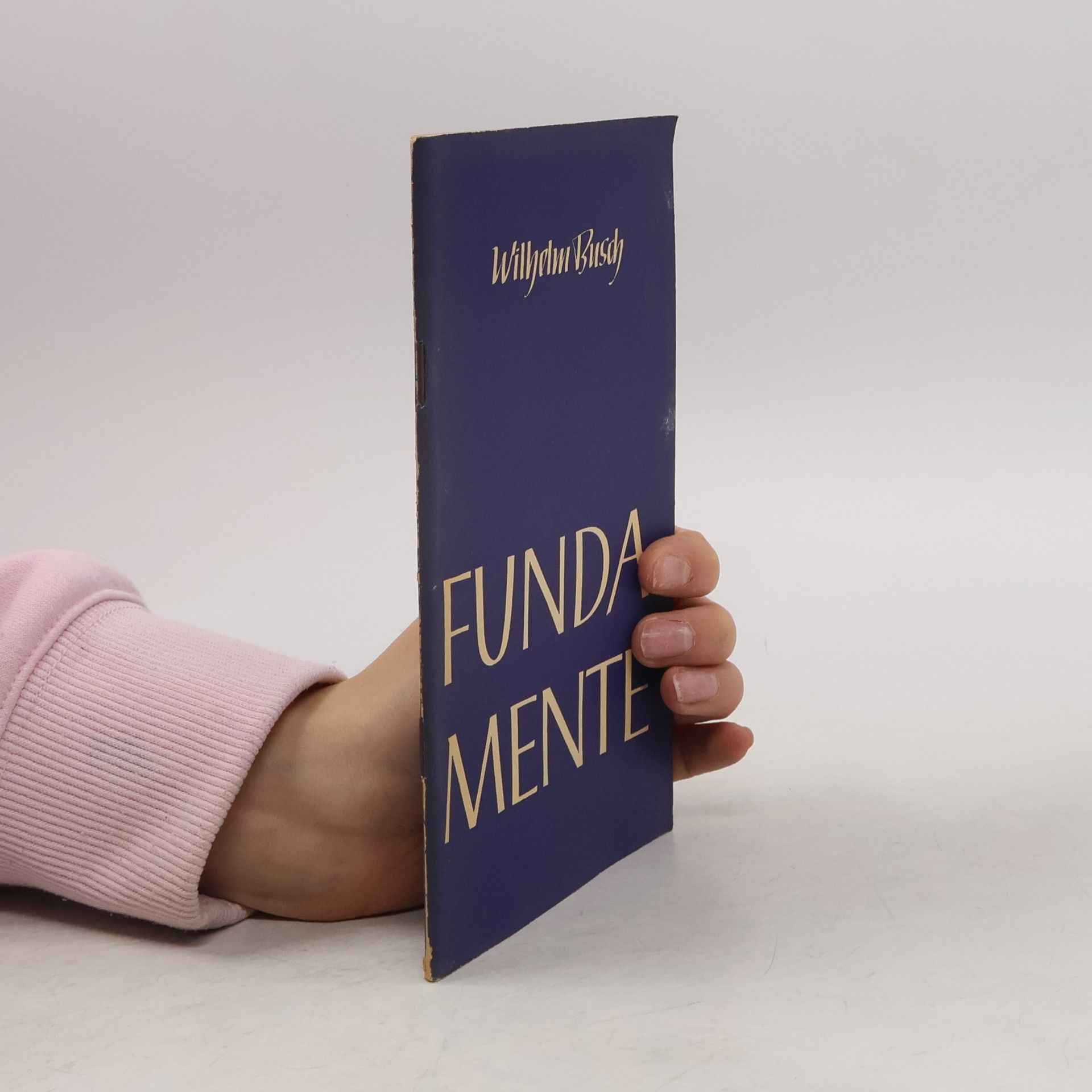 Wilhelm Busch Fundamente