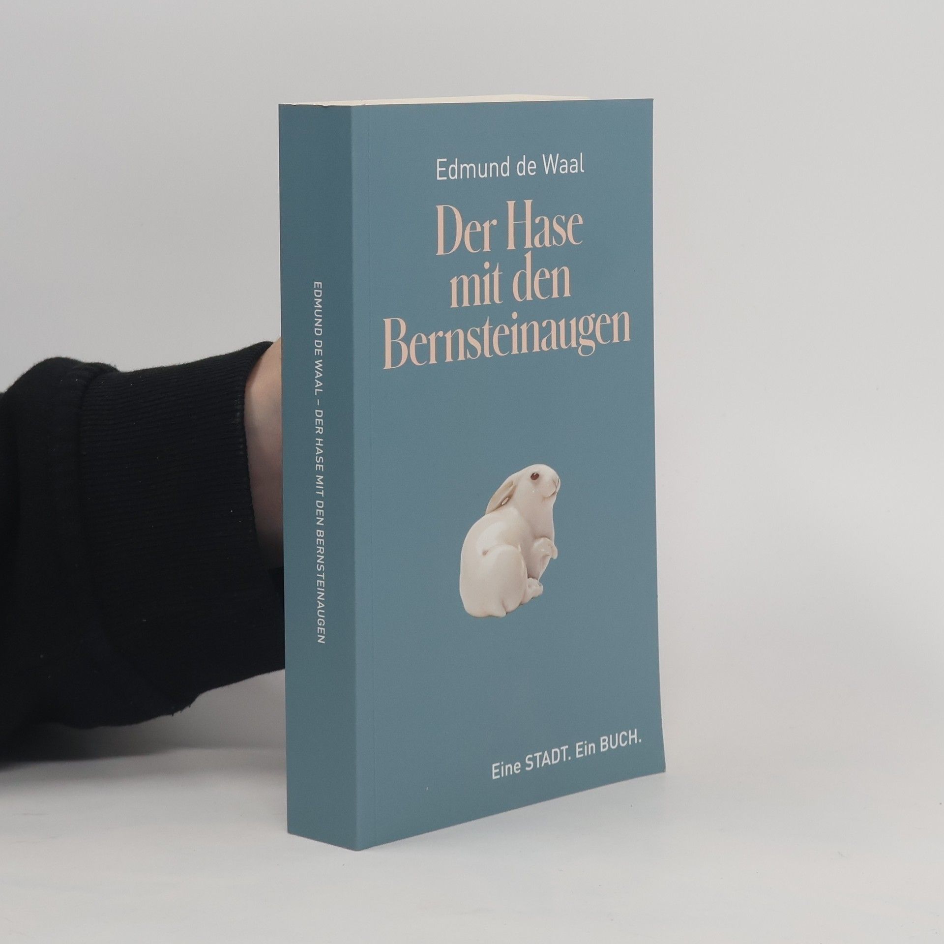 Edmund De Waal Der Hase mit den Bernsteinaugen