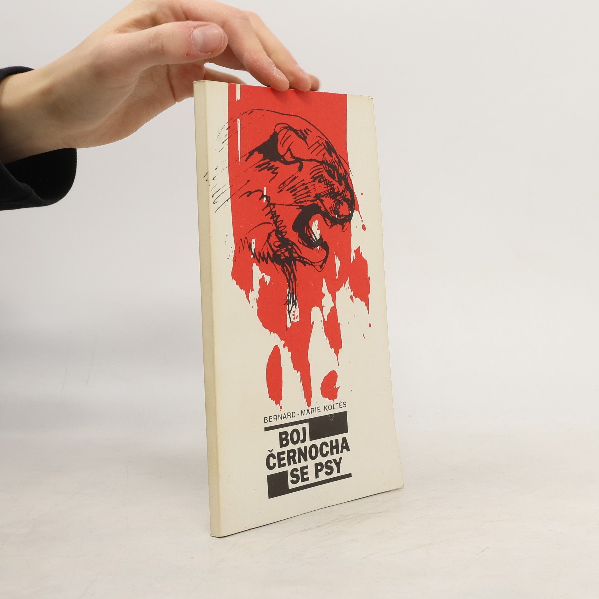 Boj černocha se psy