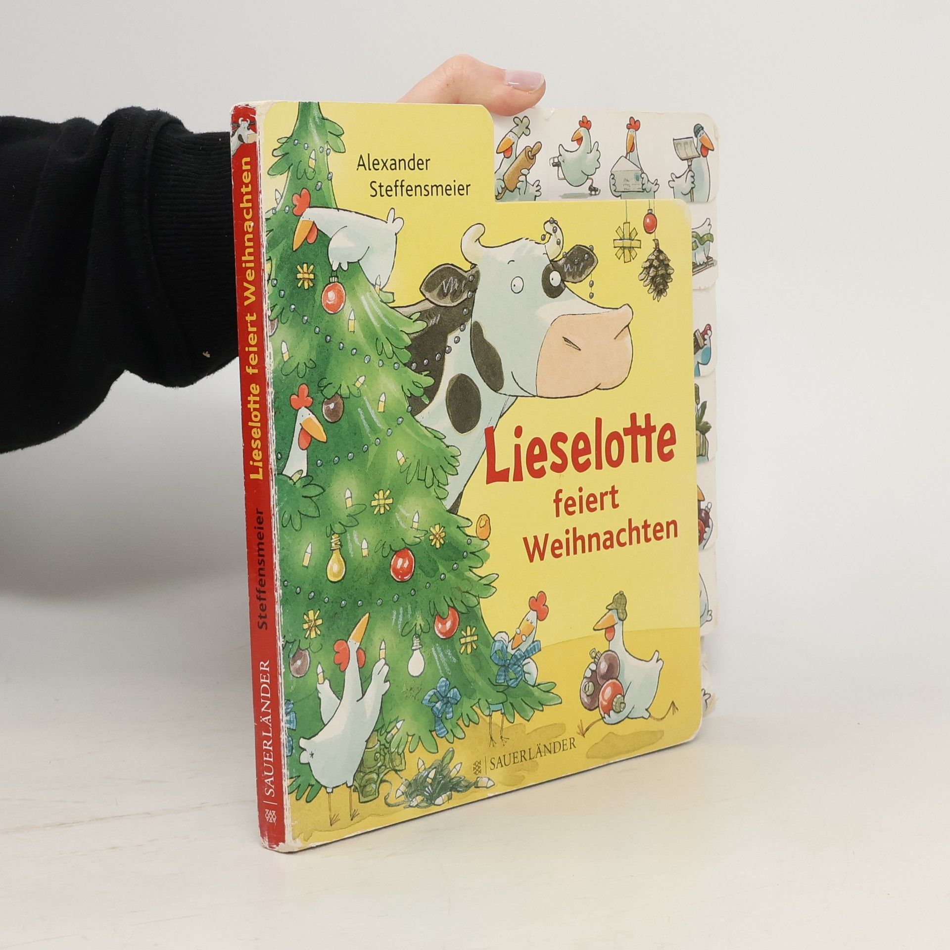 Alexander Steffensmeier Lieselotte feiert Weihnachten